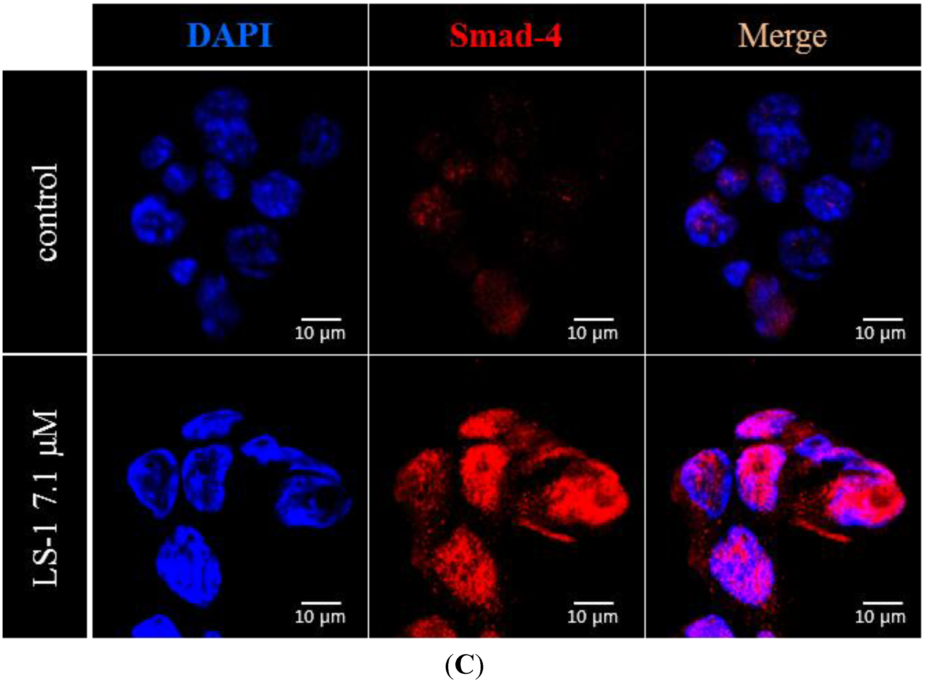 Marinedrugs 13 01340 g006b