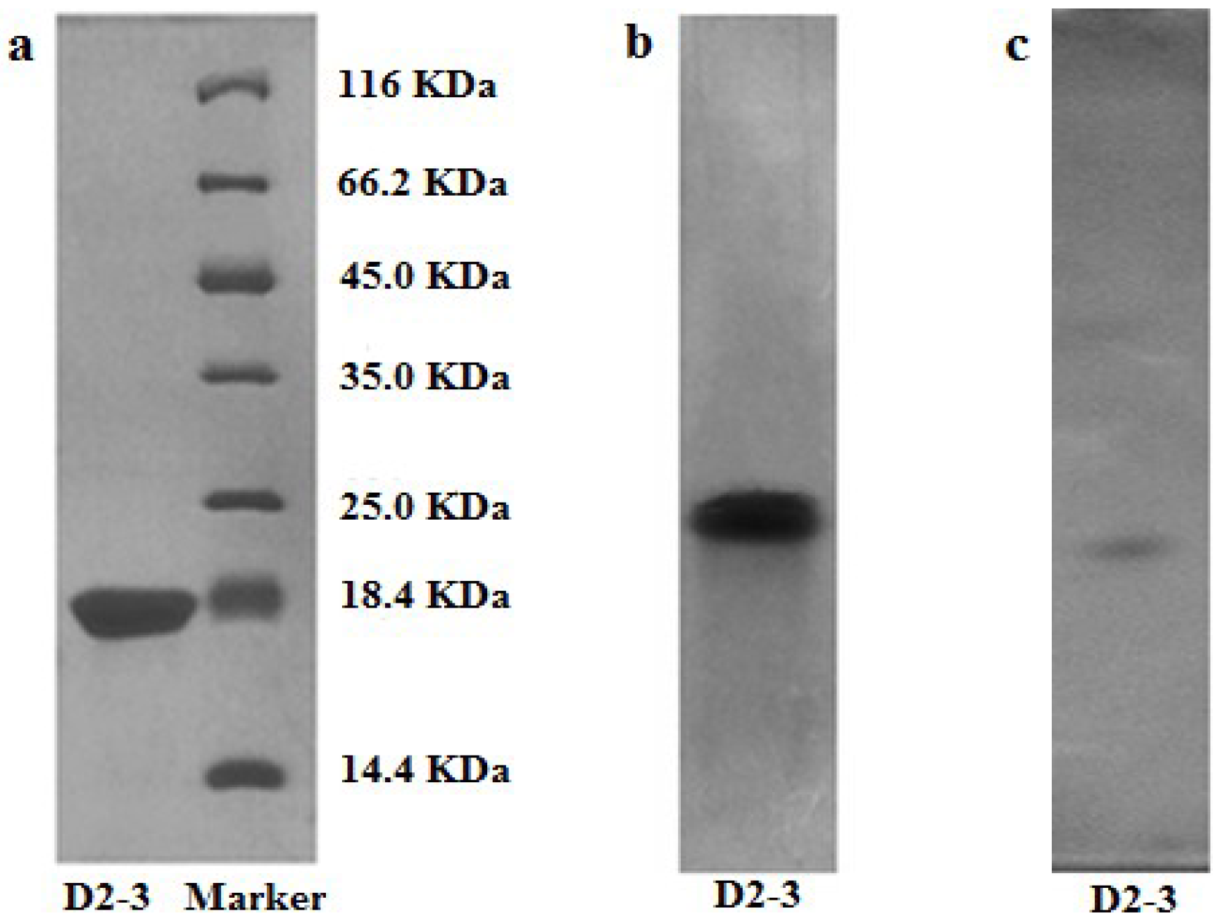 Marinedrugs 13 01466 g003 1024