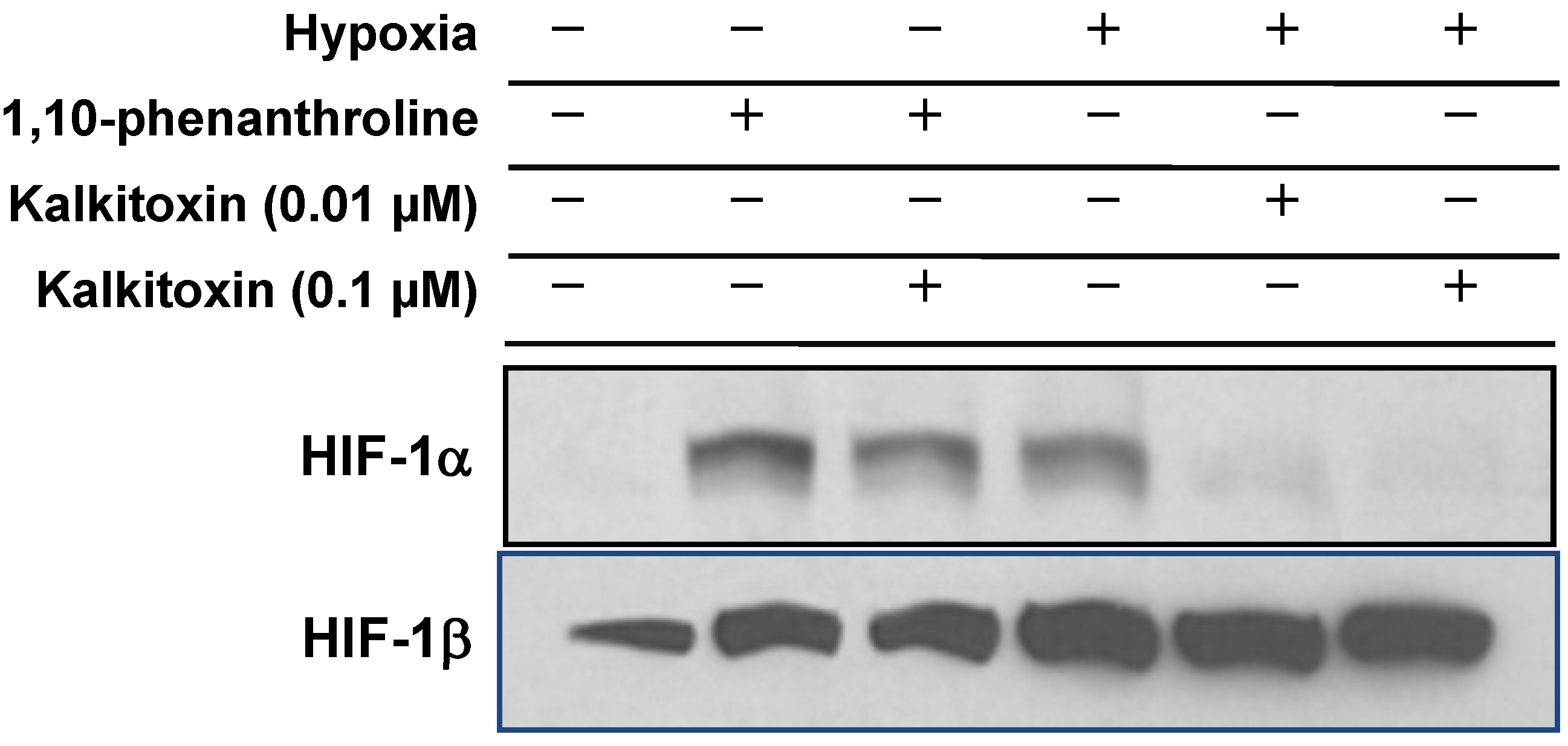 Marinedrugs 13 01552 g004