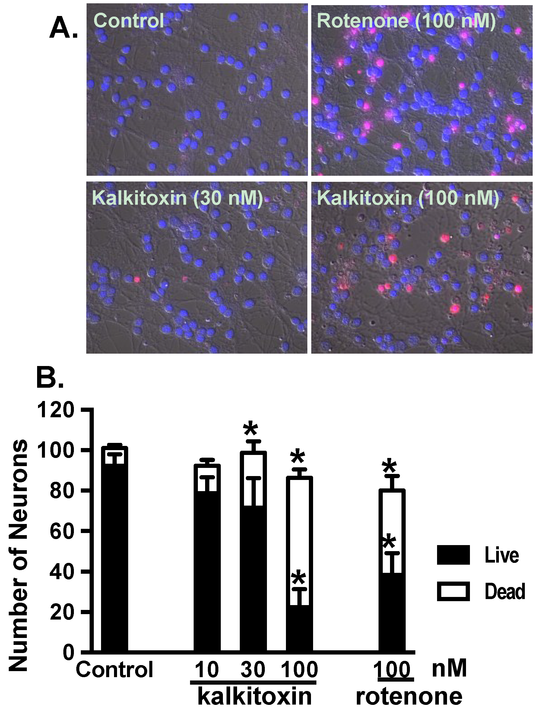 Marinedrugs 13 01552 g007