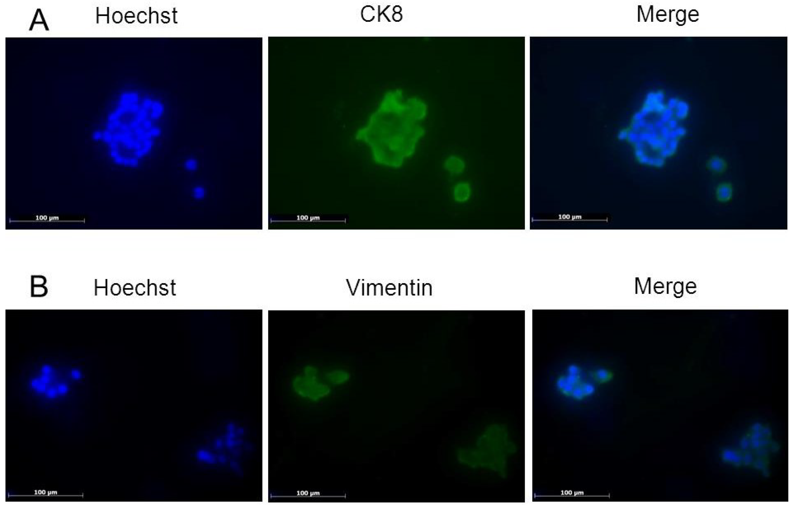 Marinedrugs 13 01569 g003