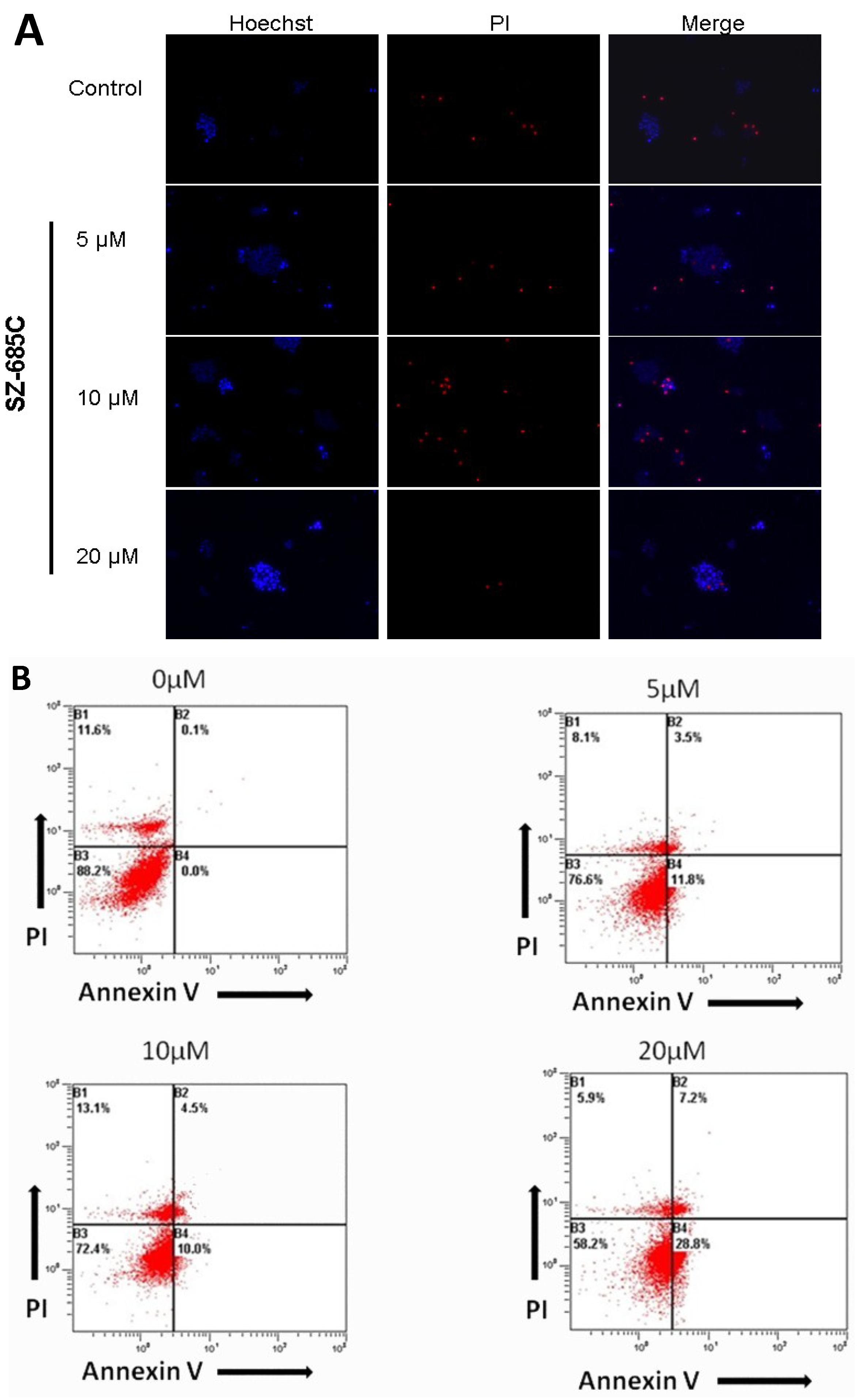 Marinedrugs 13 01569 g005a