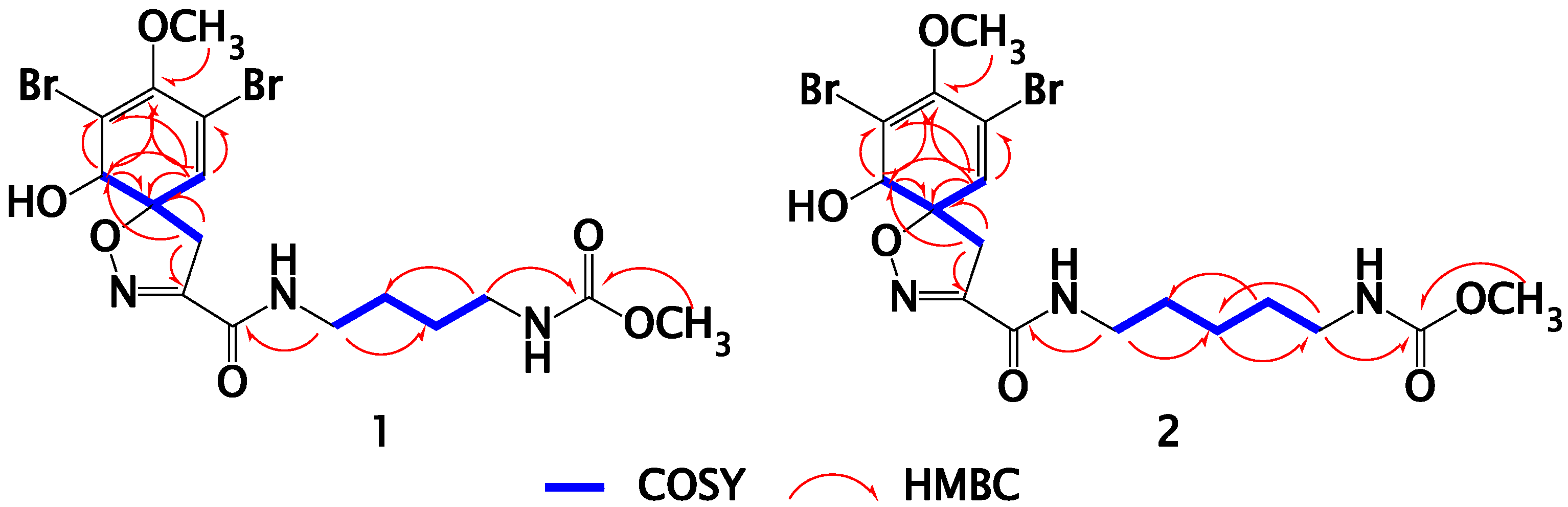 Marinedrugs 13 01621 g002