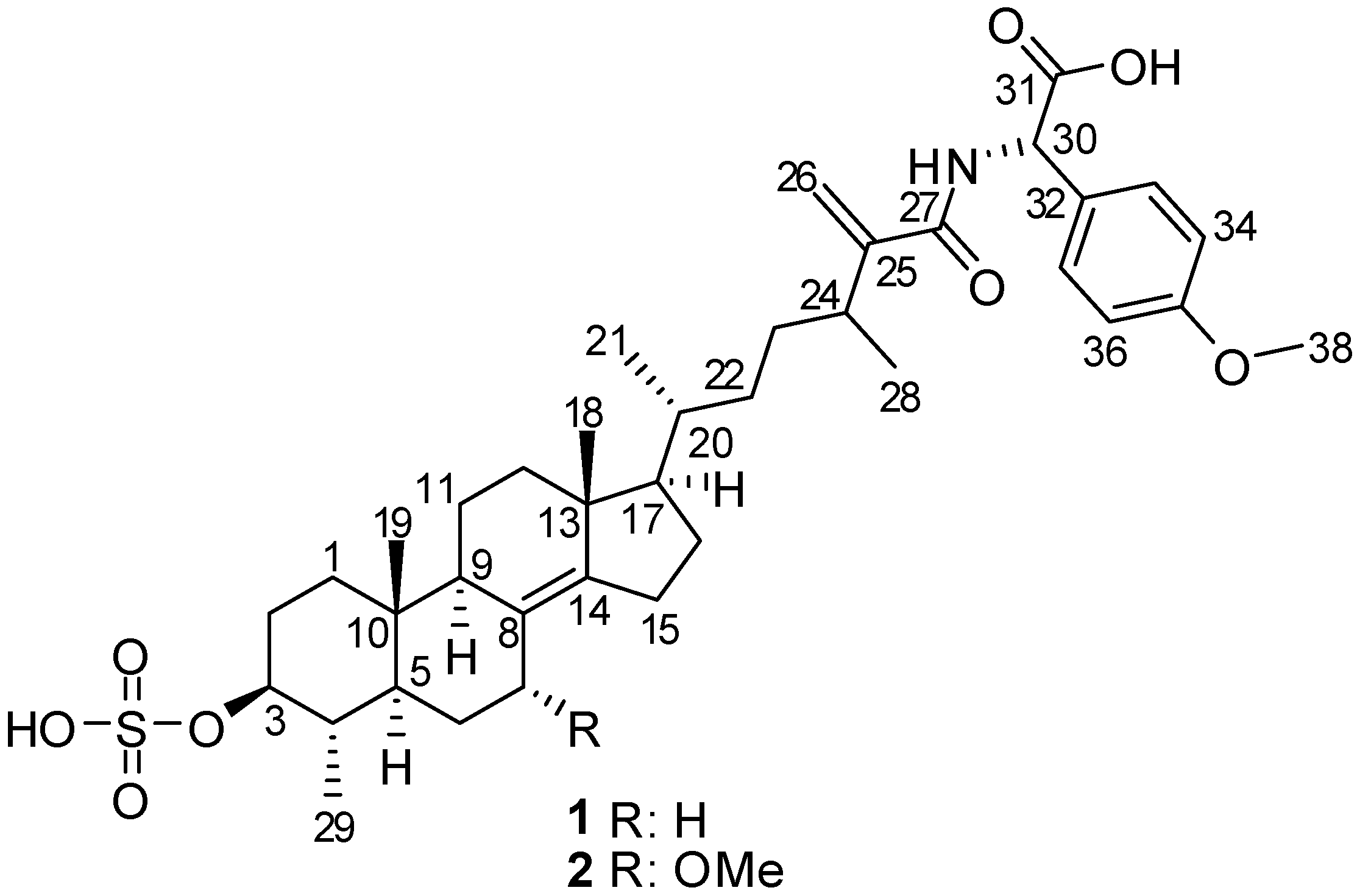 Marinedrugs 13 01632 g001 1024