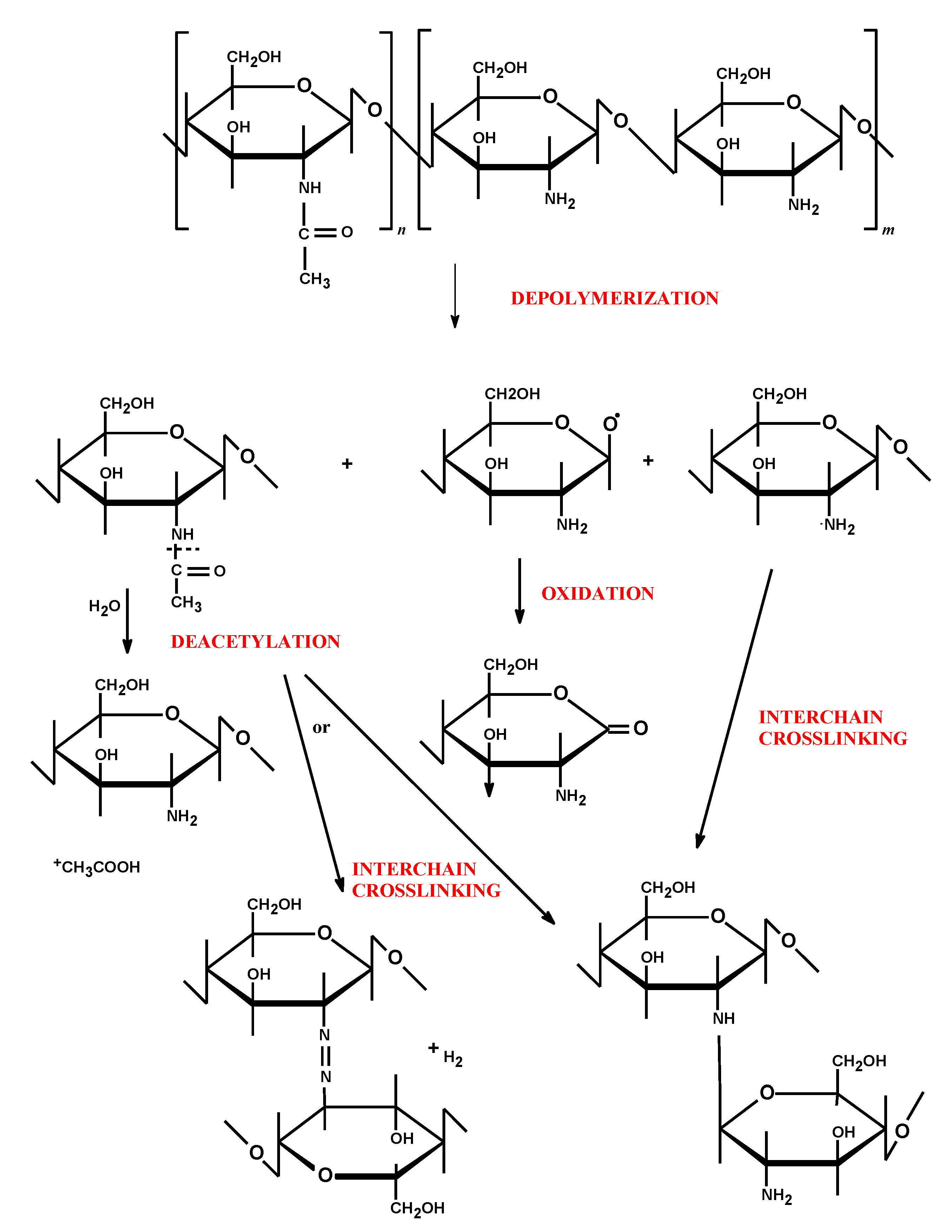Marinedrugs 13 01819 g002