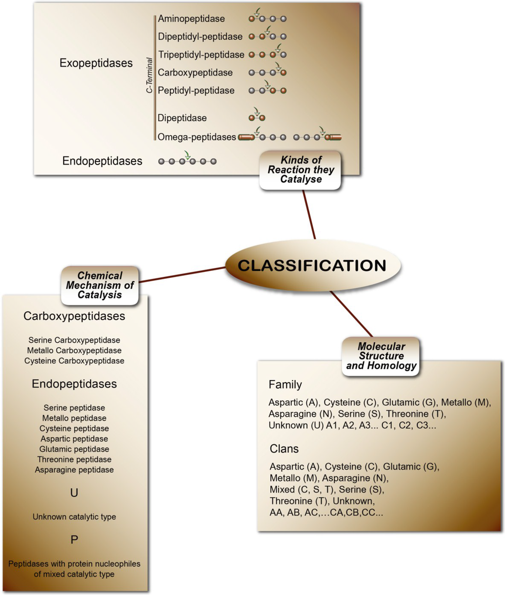 Marine Drugs, Free Full-Text