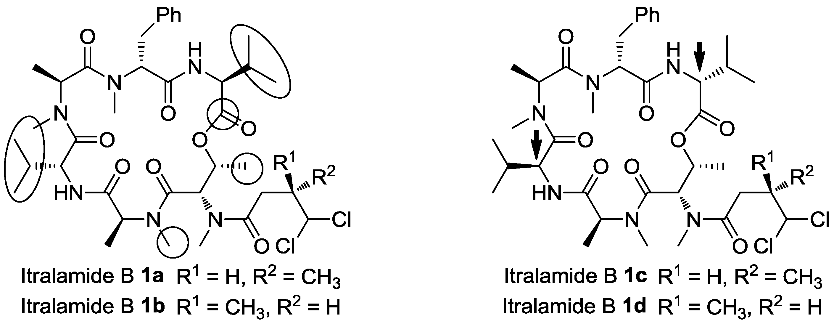 Marinedrugs 13 02085 g003 1024