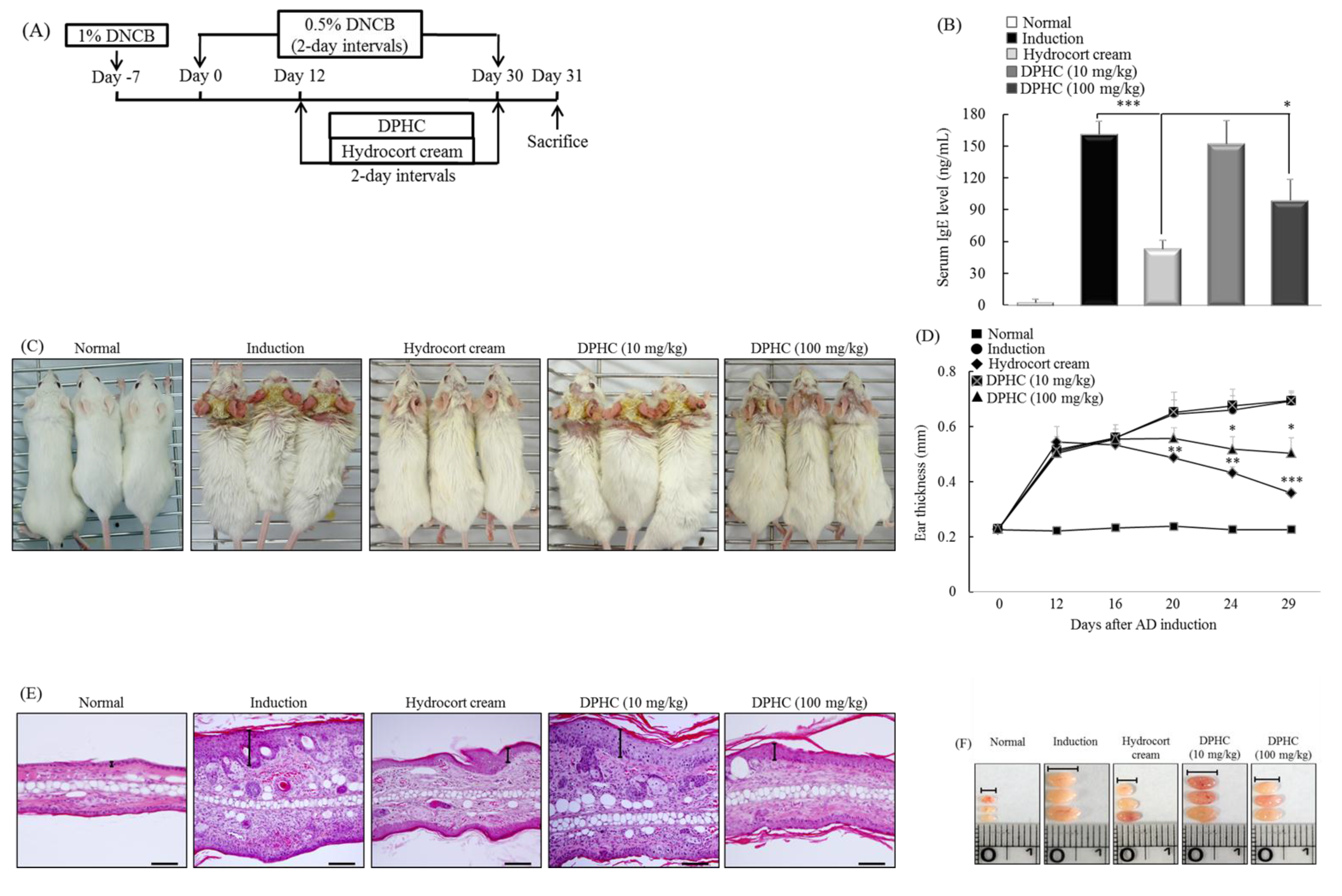 Marinedrugs 13 02141 g005