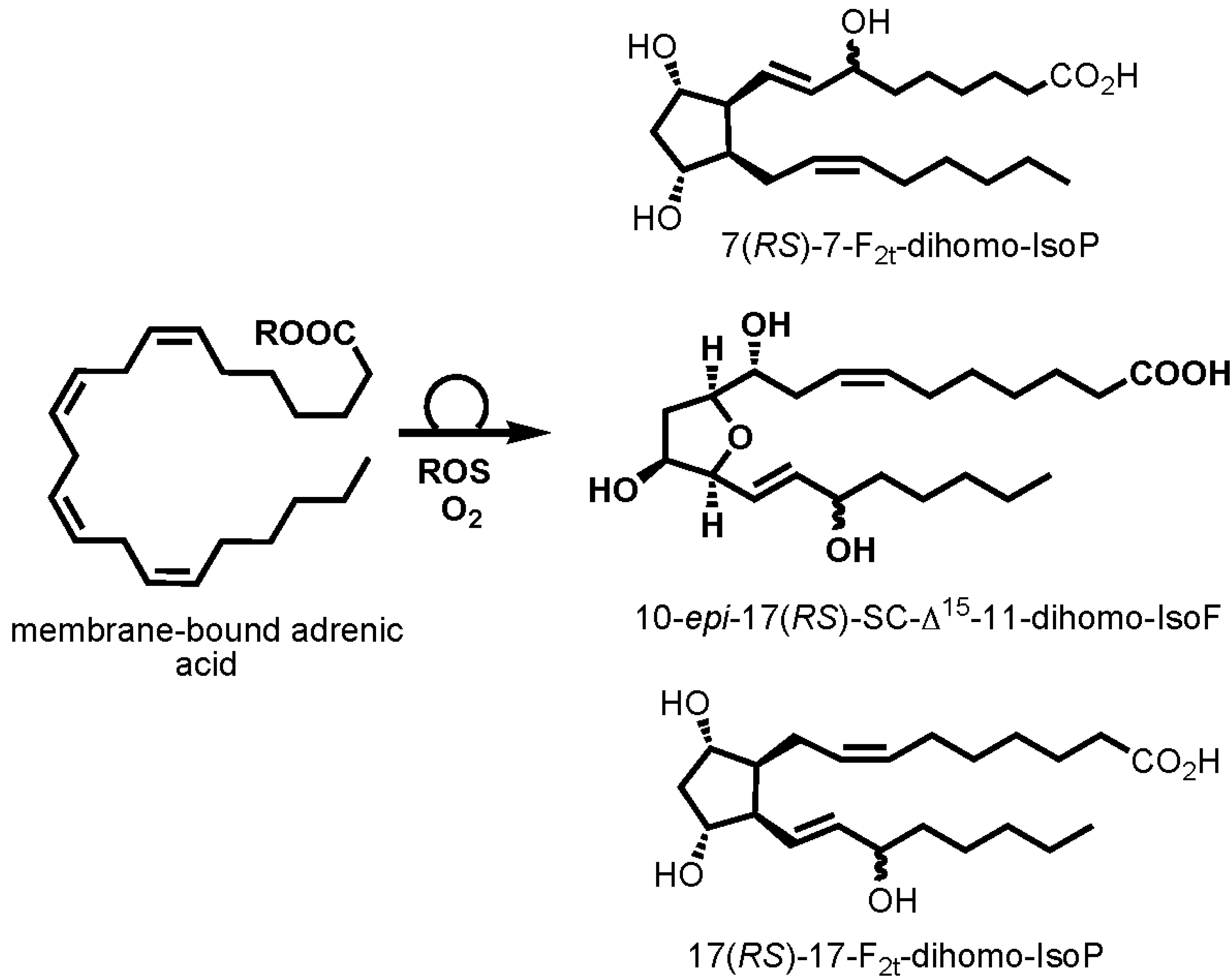 Marinedrugs 13 02215 g006