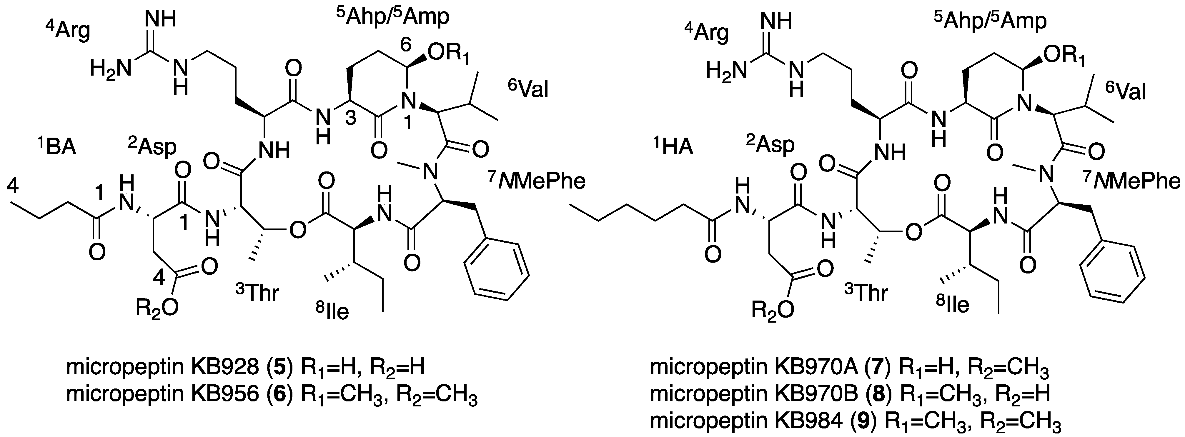 Marinedrugs 13 02347 g006