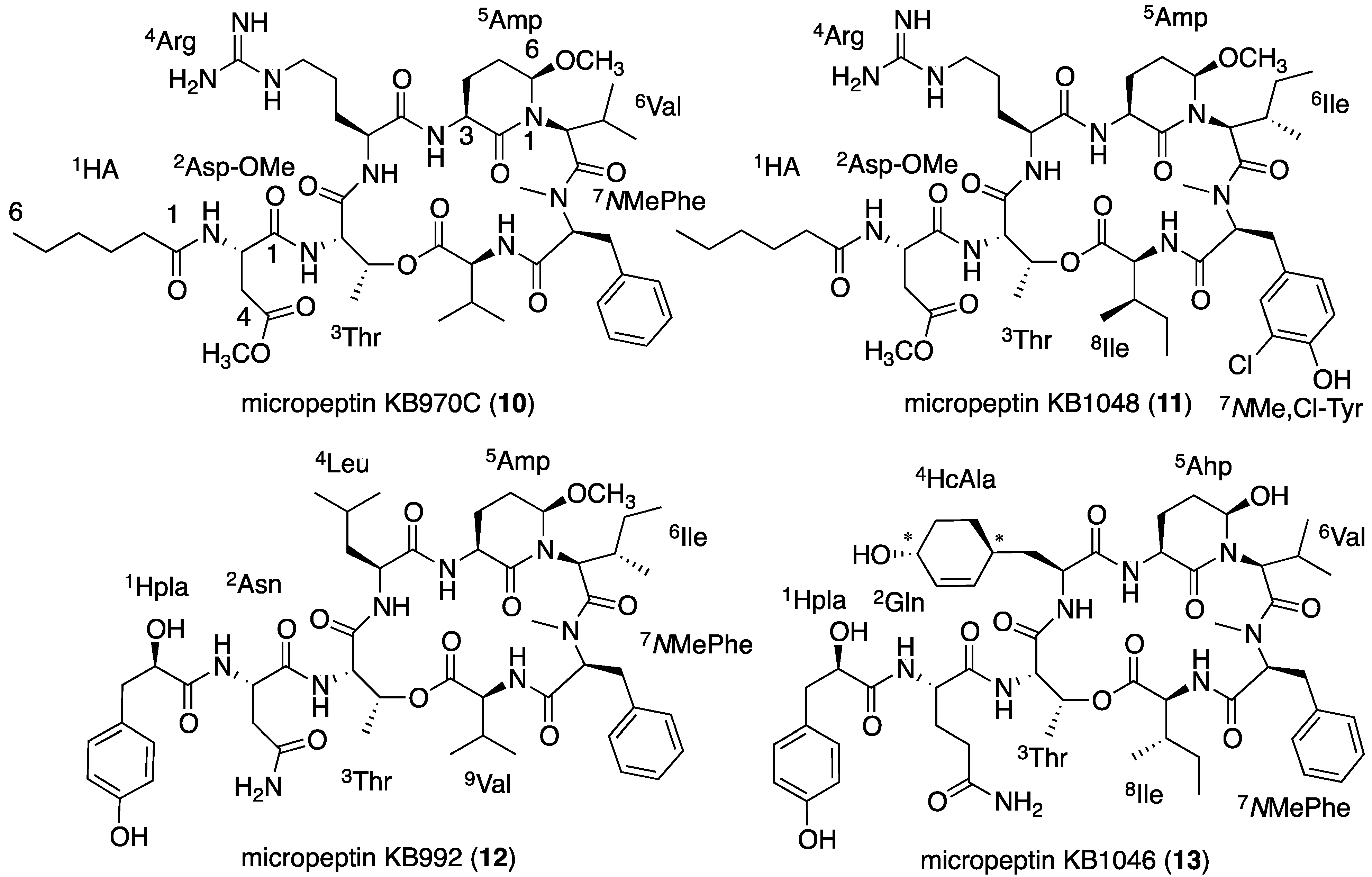 Marinedrugs 13 02347 g008