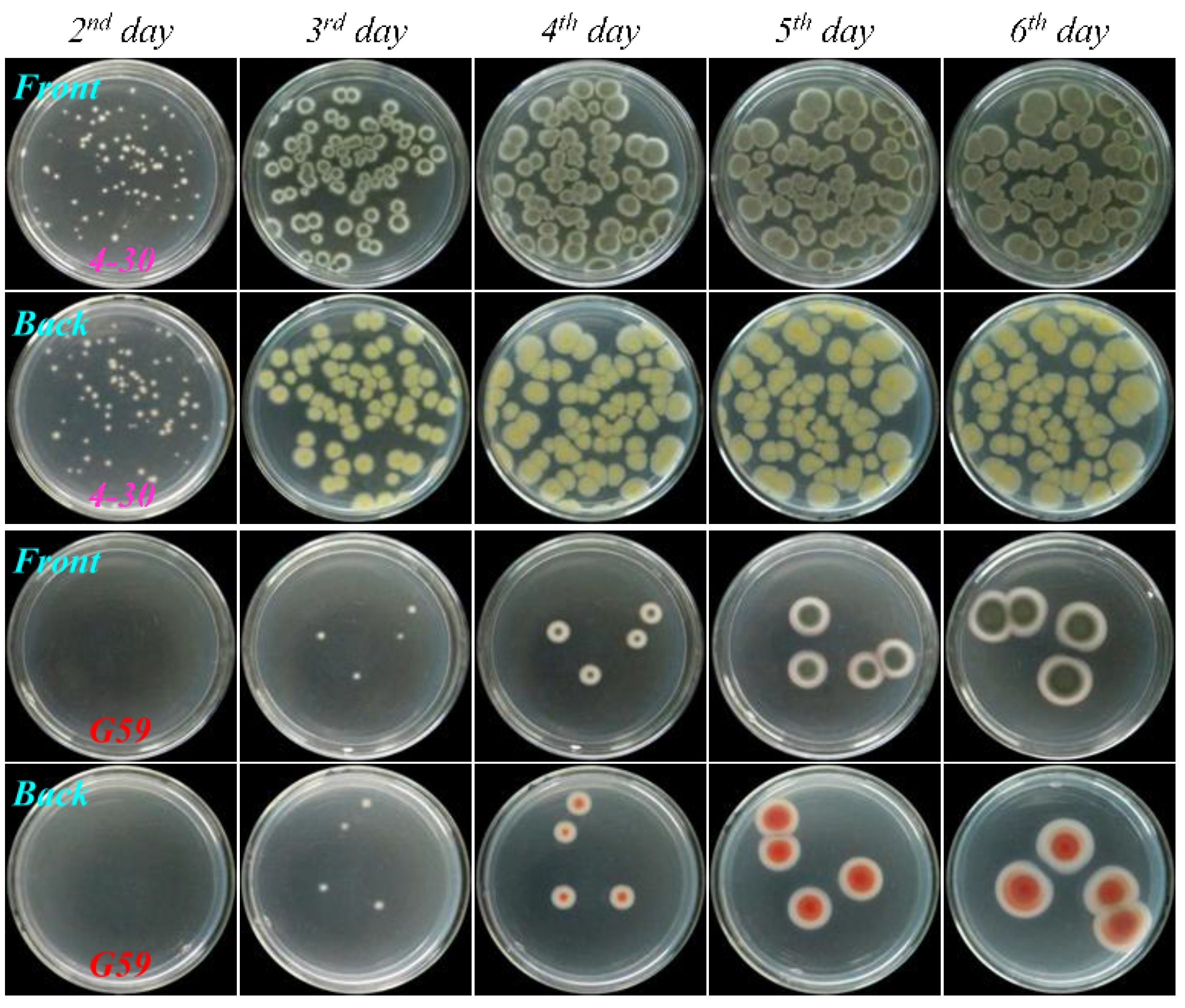 Marinedrugs 13 02465 g005