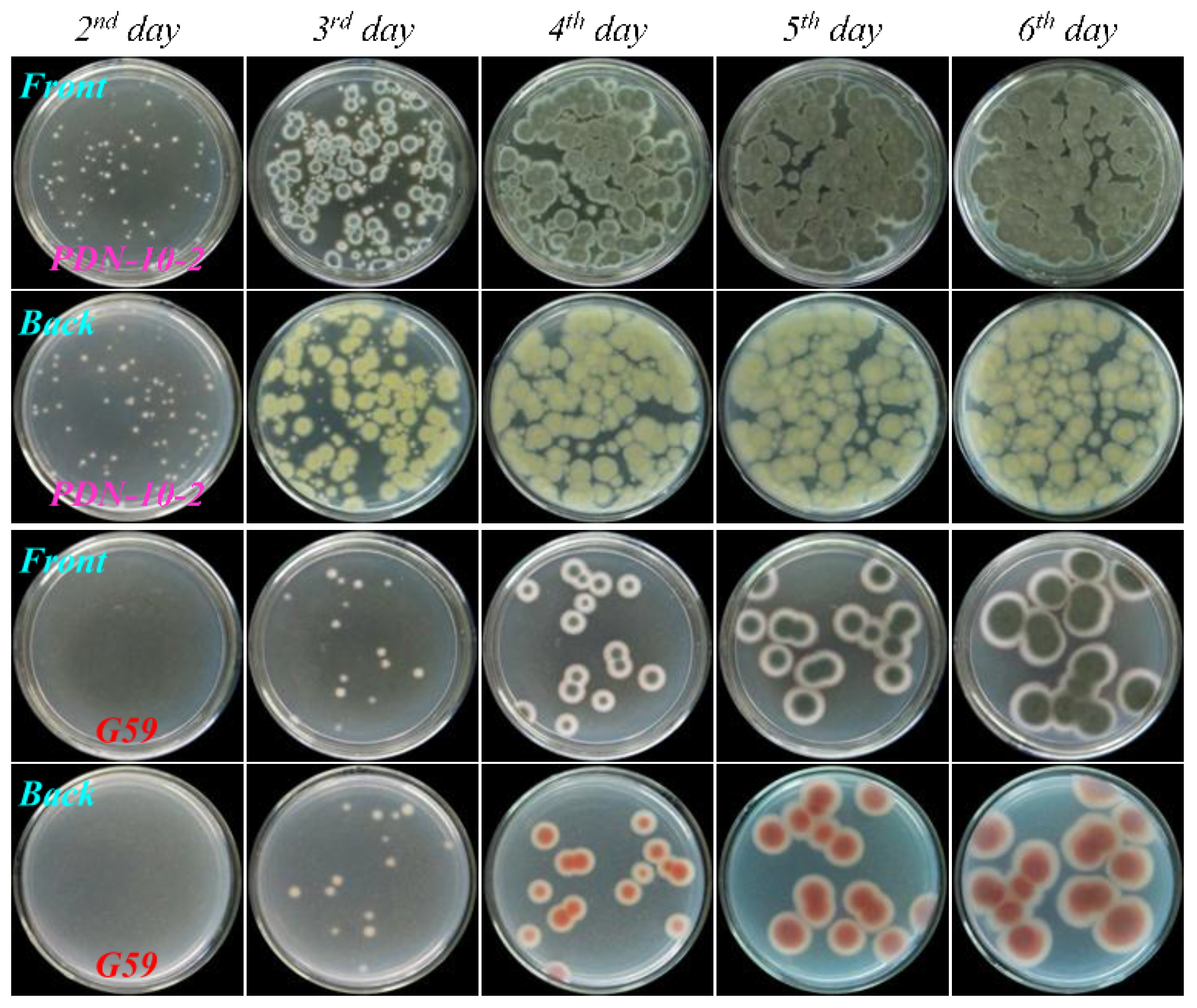 Marinedrugs 13 02465 g006