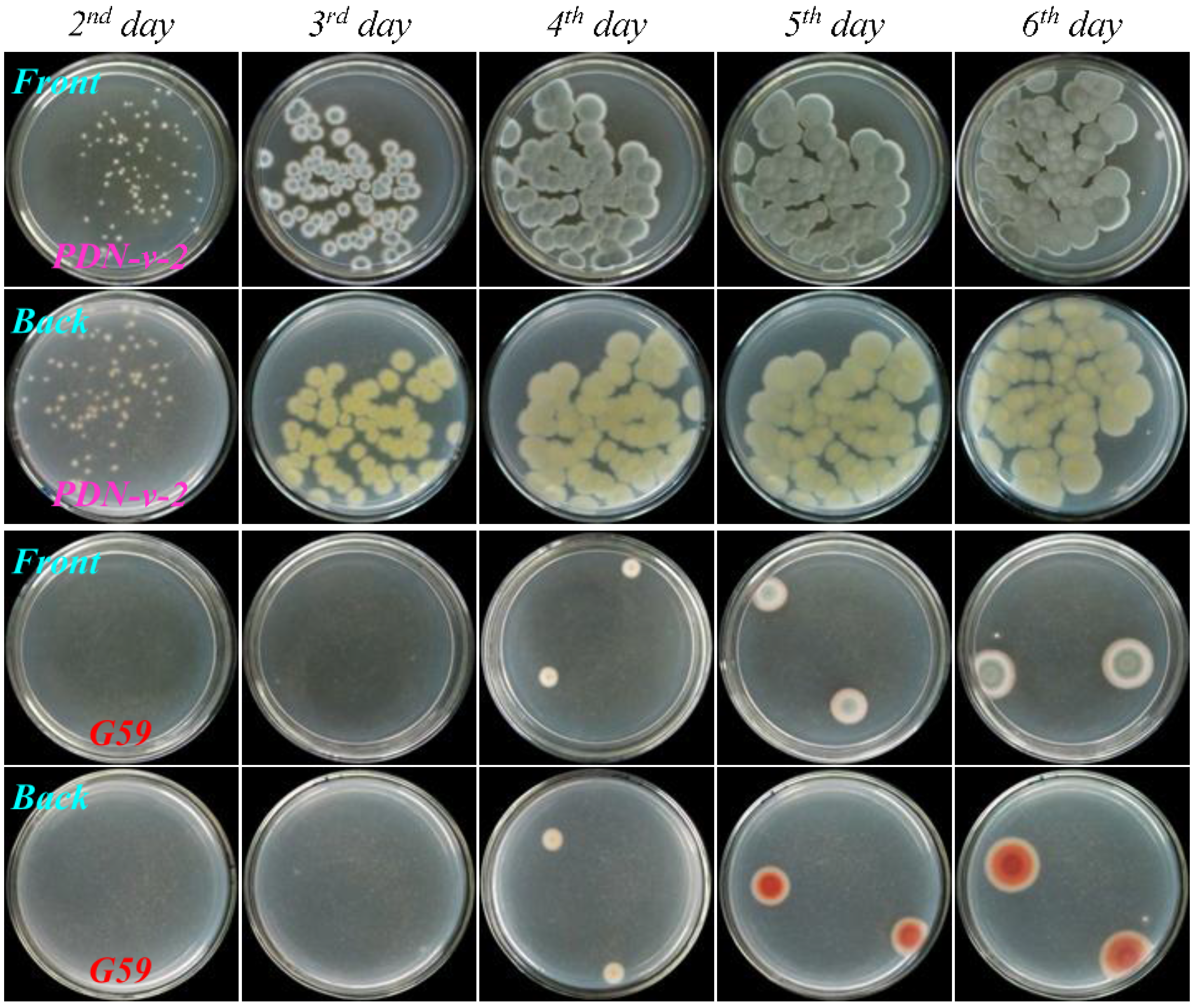 Marinedrugs 13 02465 g007