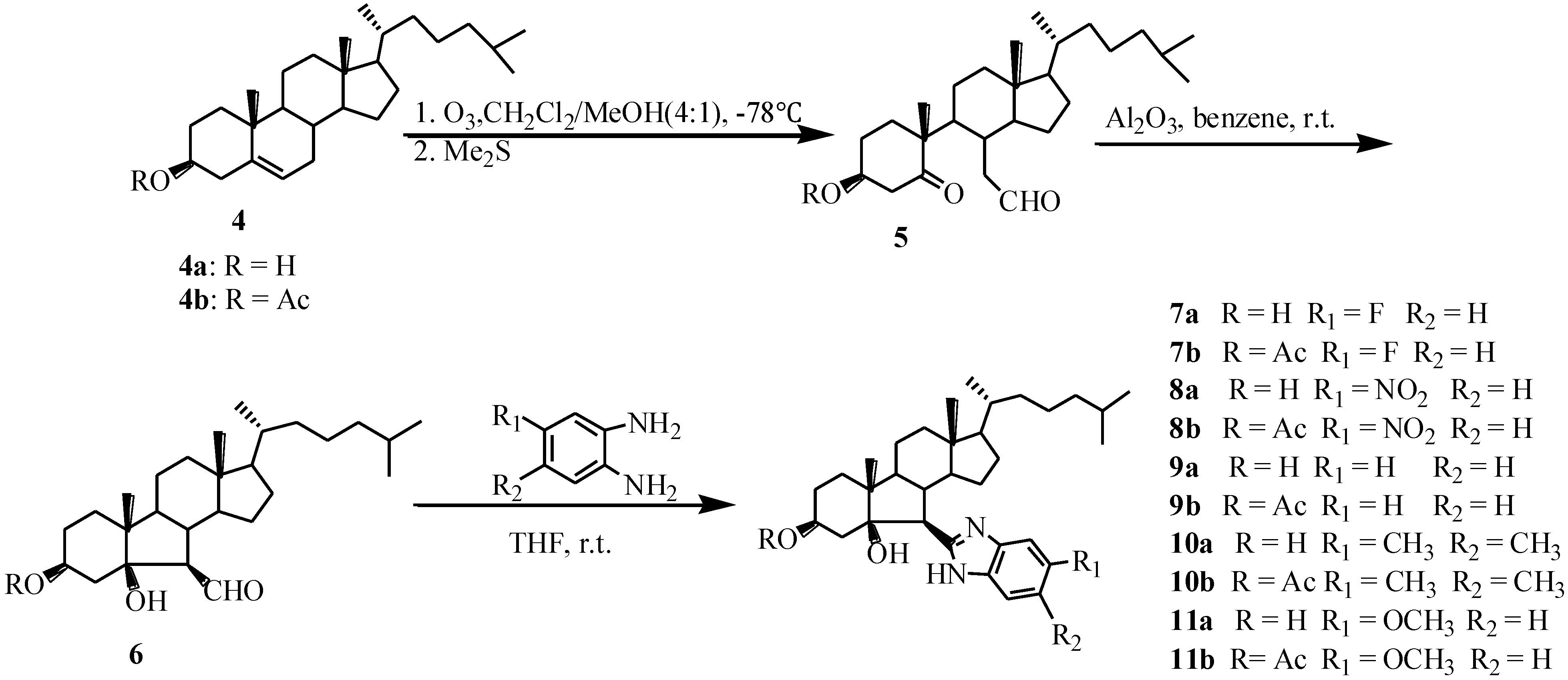 Marinedrugs 13 02488 g005