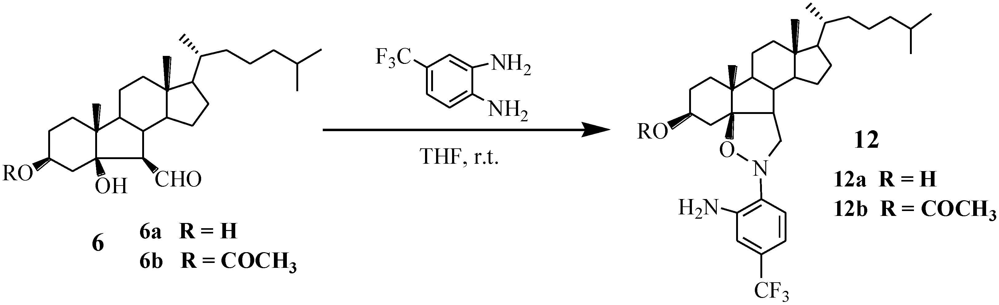 Marinedrugs 13 02488 g006