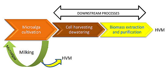 Marine Drugs Free Full Text Diatom Milking A Review And New Approaches Html