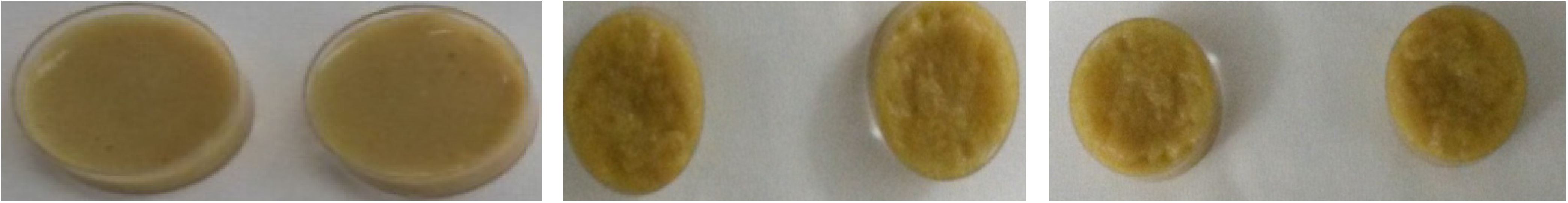 Marinedrugs 13 02680 g001