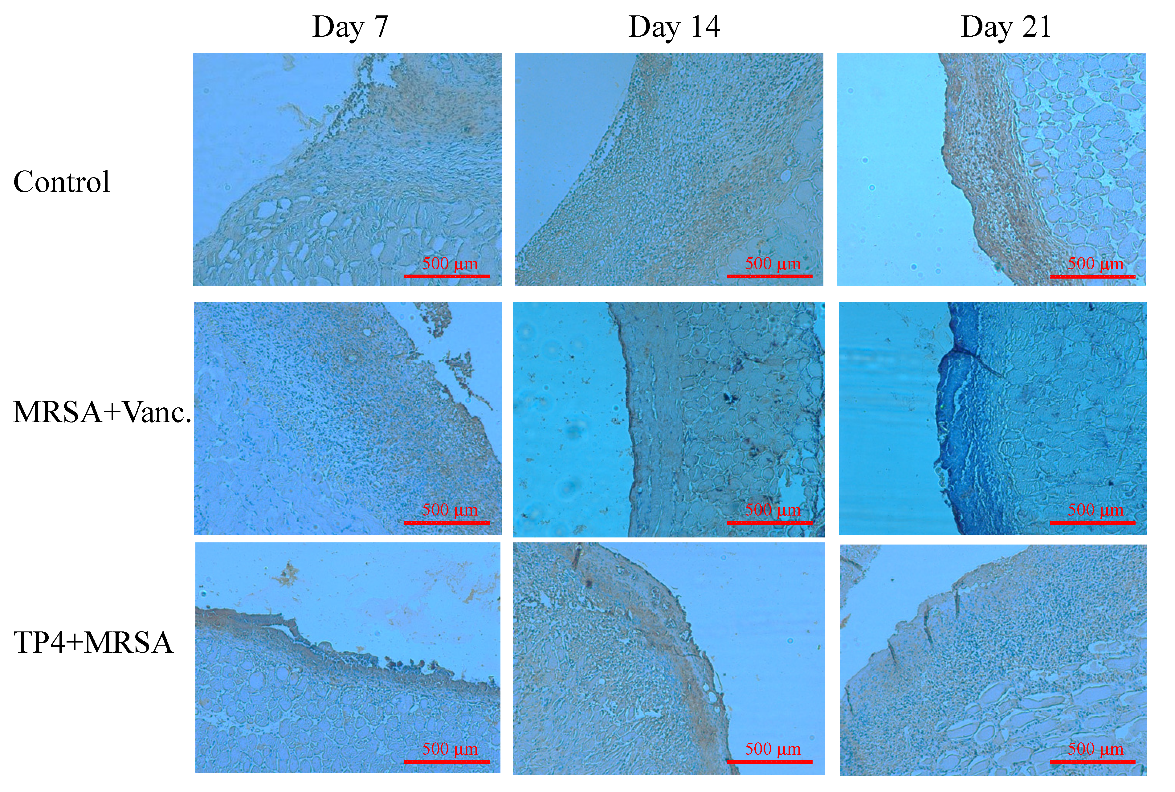 Marinedrugs 13 02813 g007