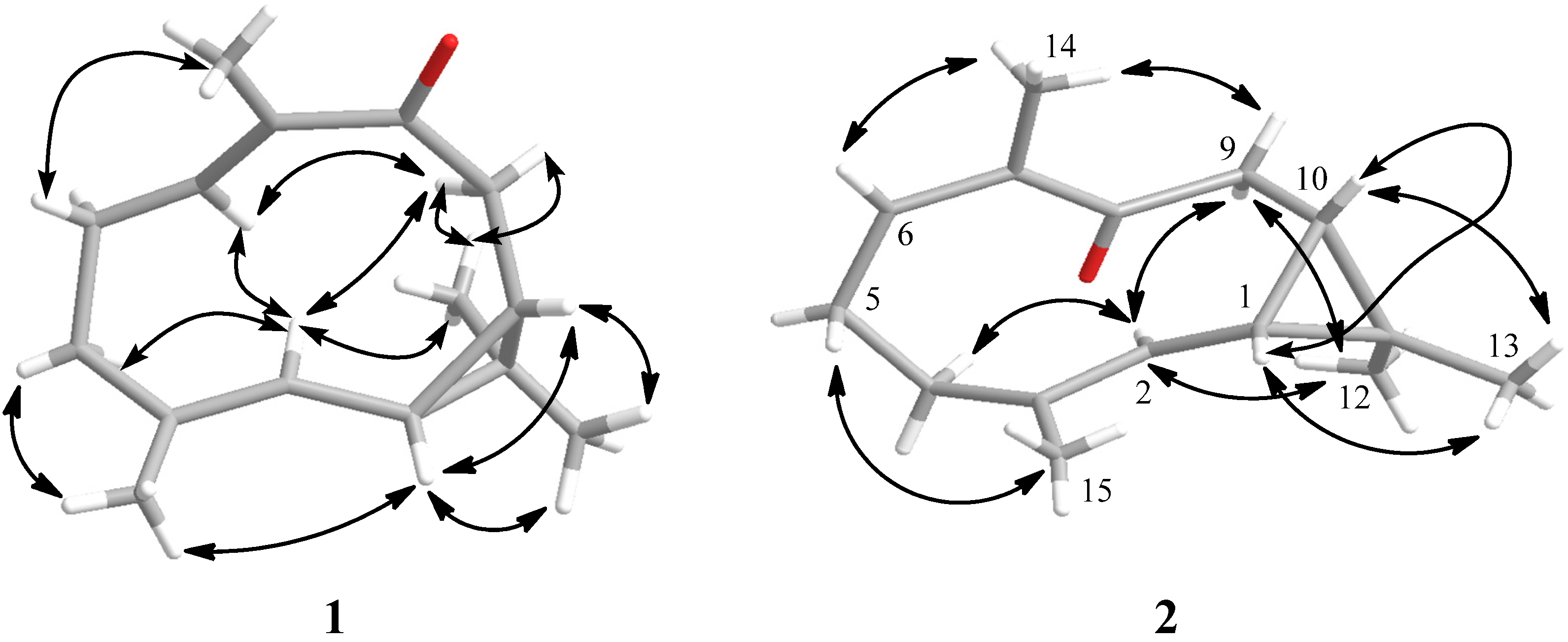 Marinedrugs 13 03103 g003 1024