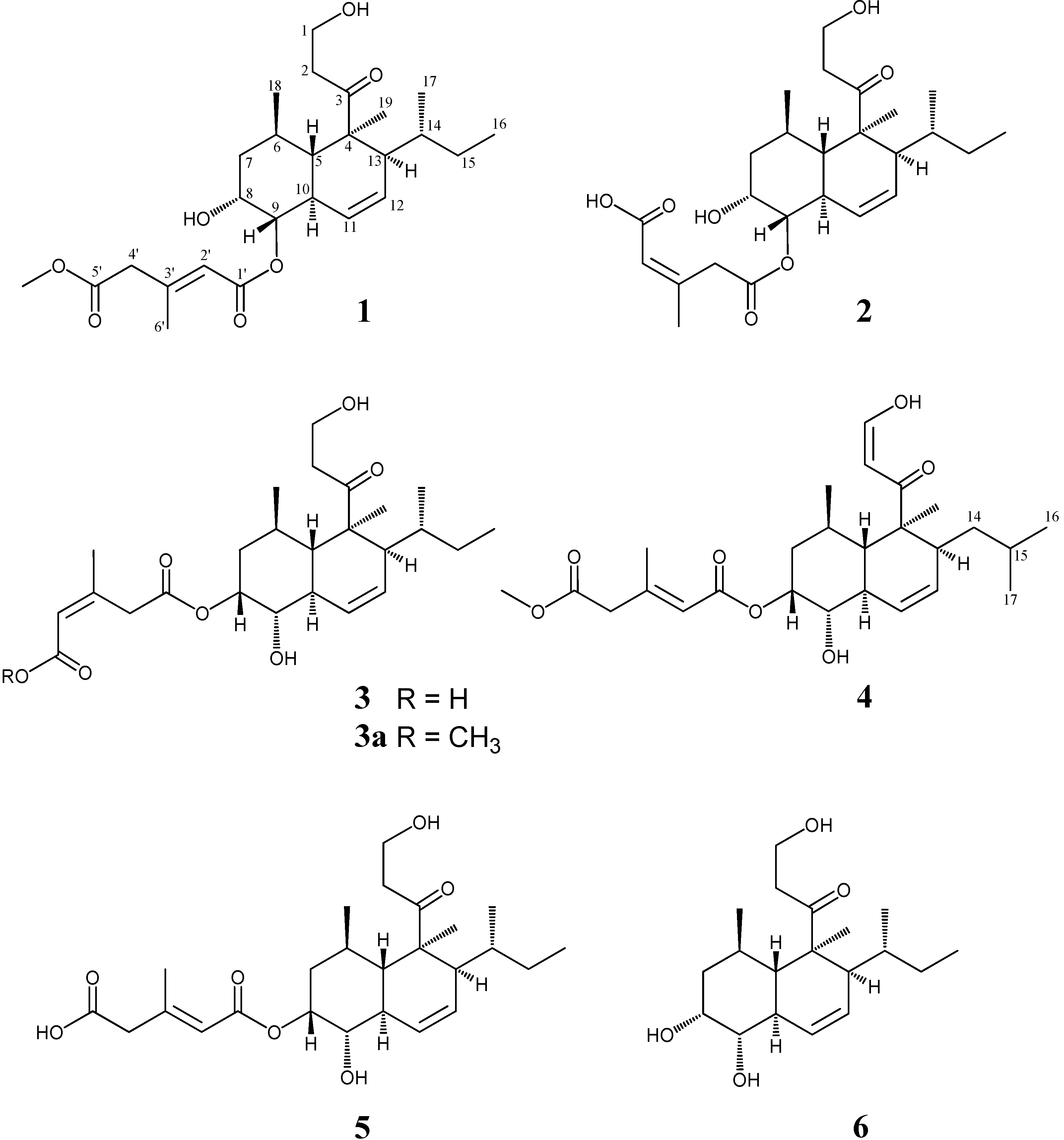 Marinedrugs 13 03231 g001 1024