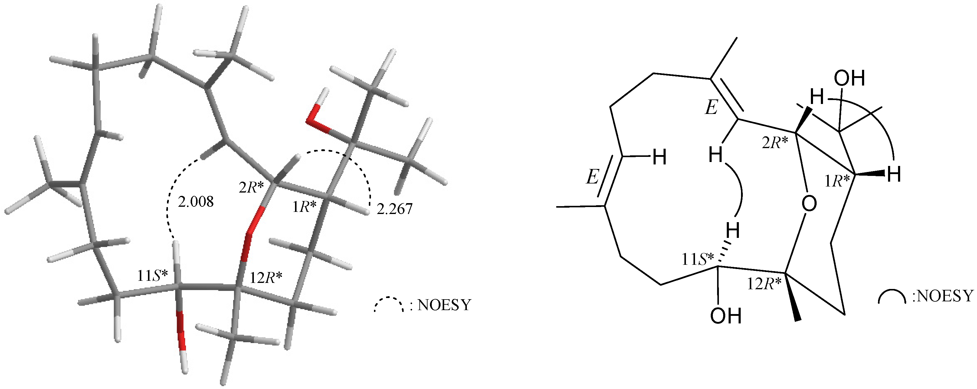 Marinedrugs 13 03443 g001 1024