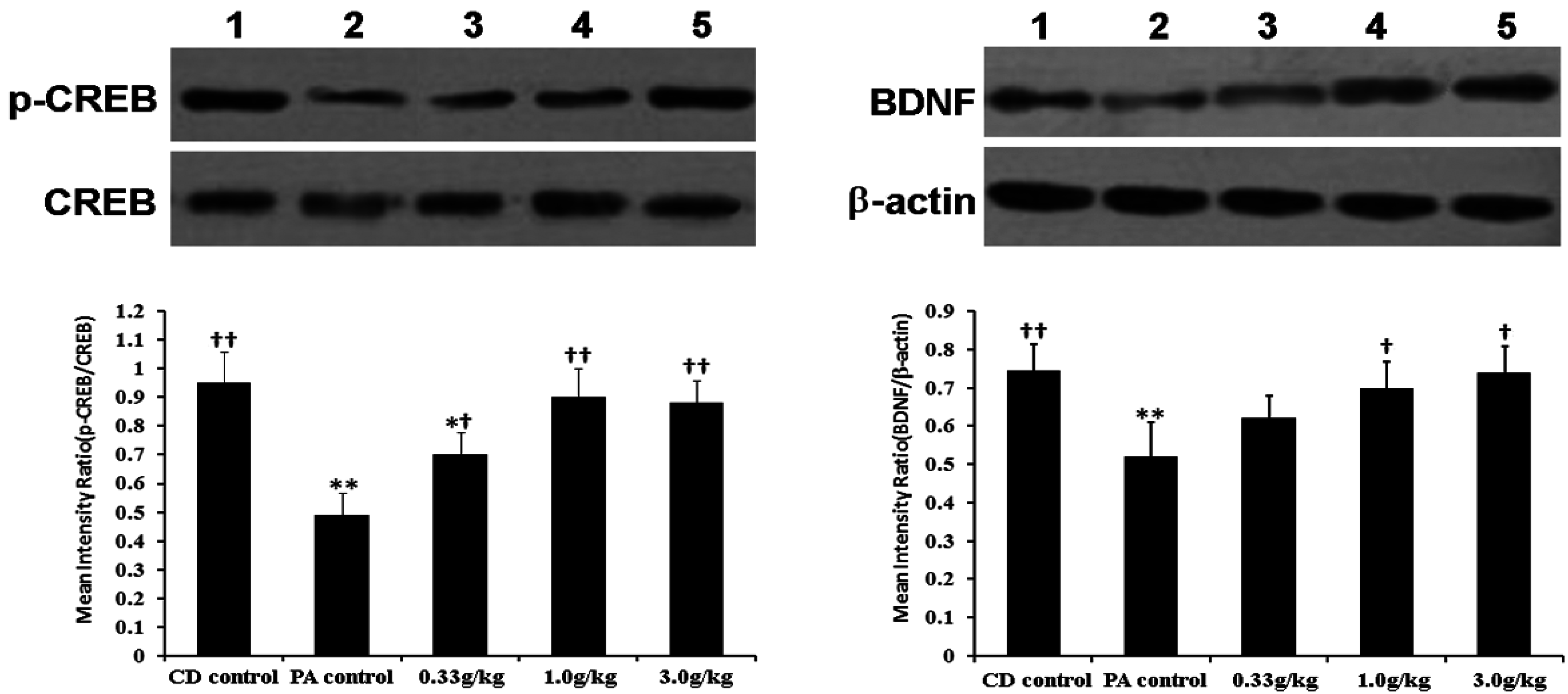 Marinedrugs 13 03653 g005 1024