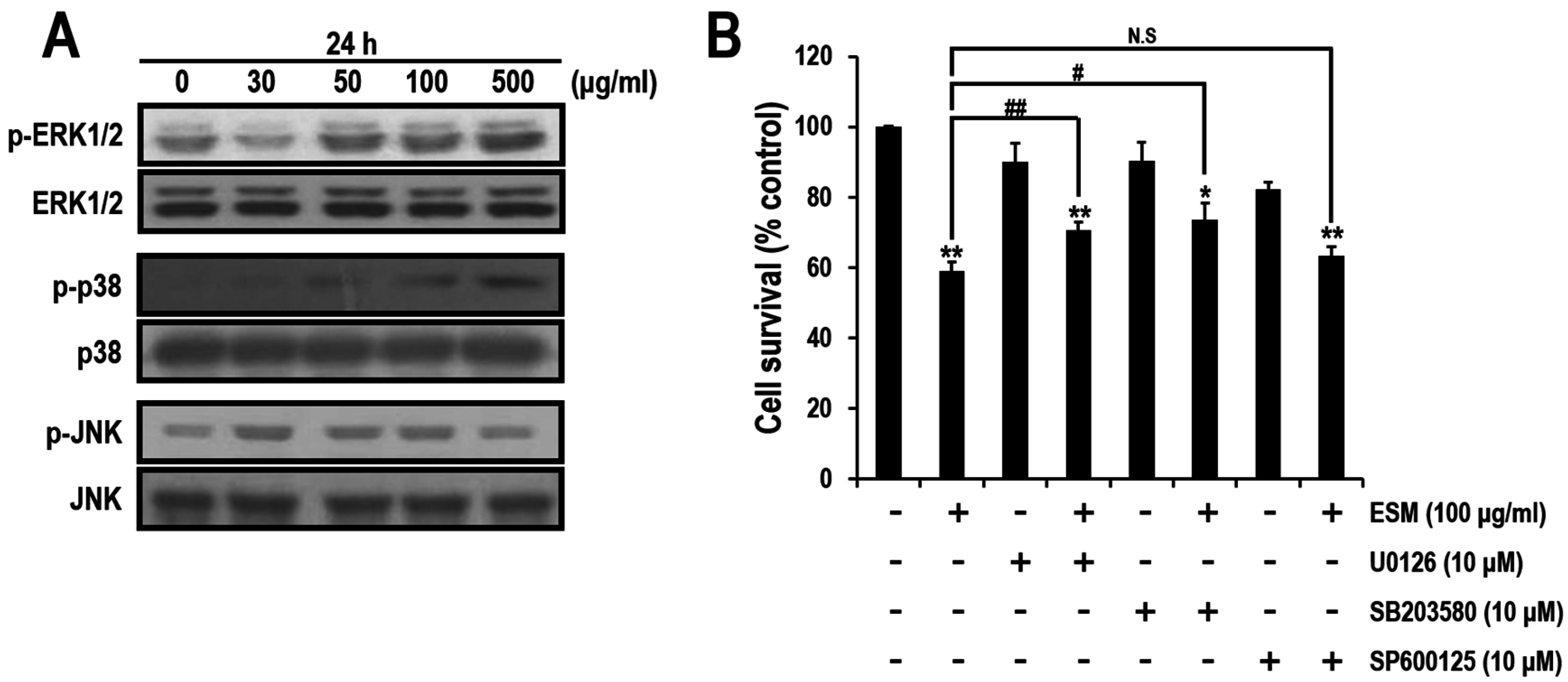 Marinedrugs 13 03936 g004