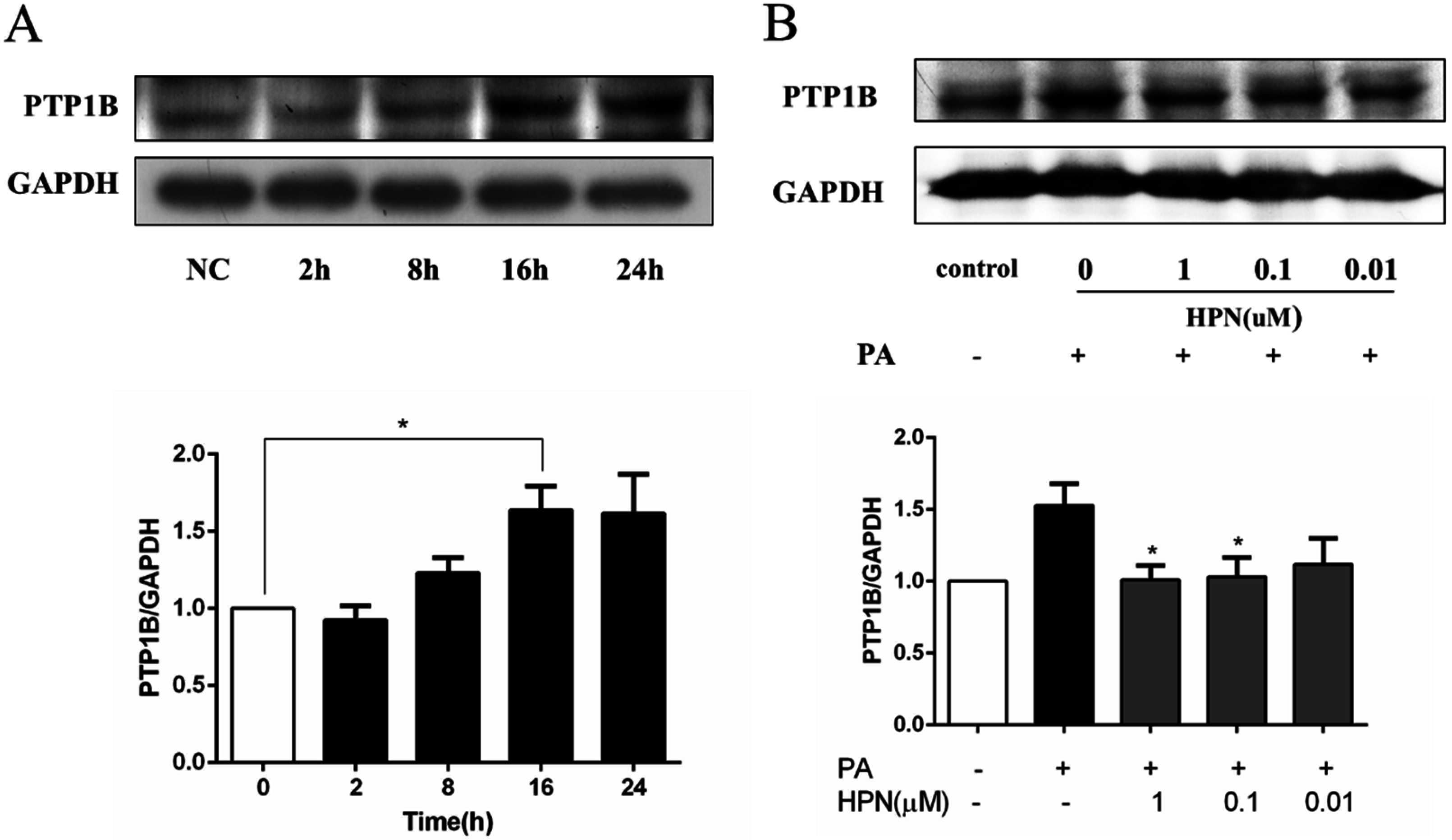 Marinedrugs 13 04452 g005
