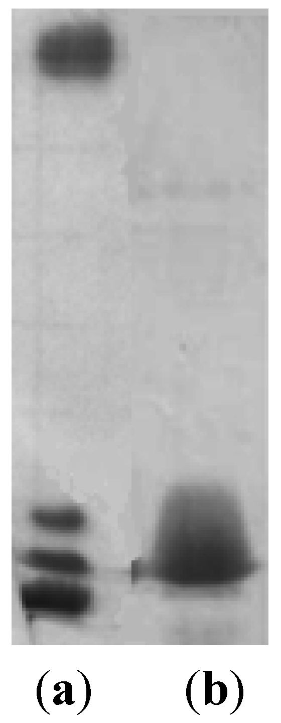 Marinedrugs 13 04539 g001