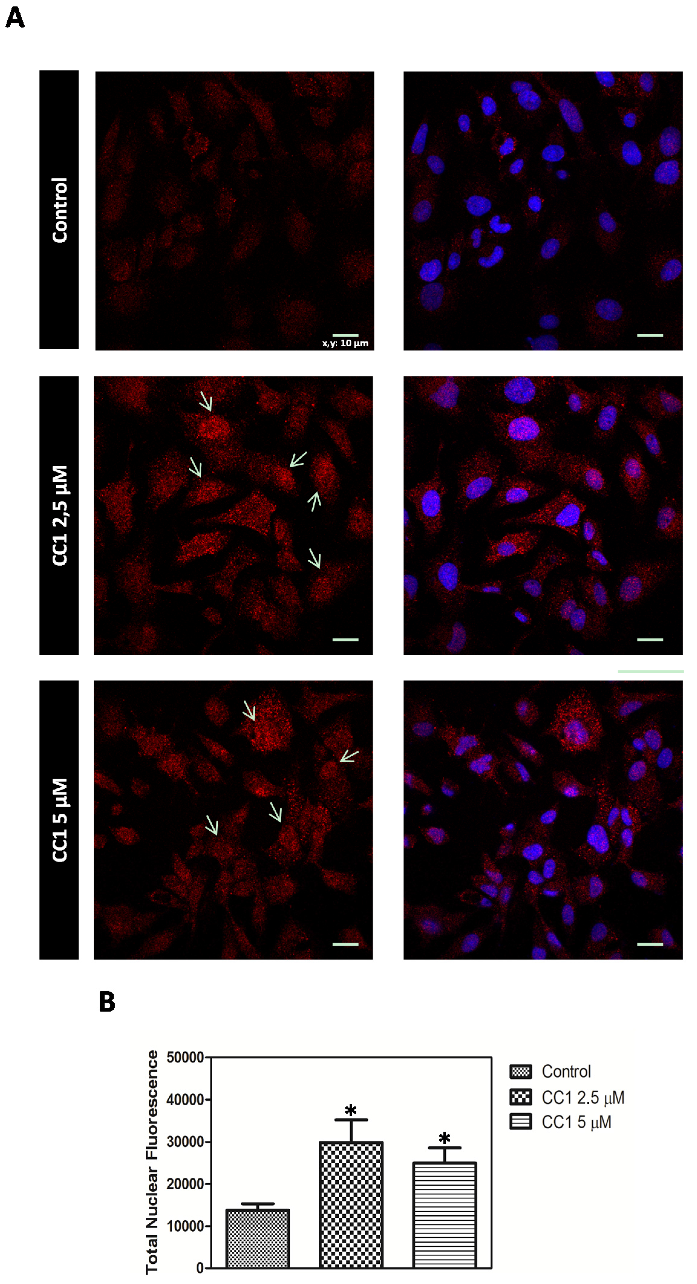 Marinedrugs 13 04633 g007 1024