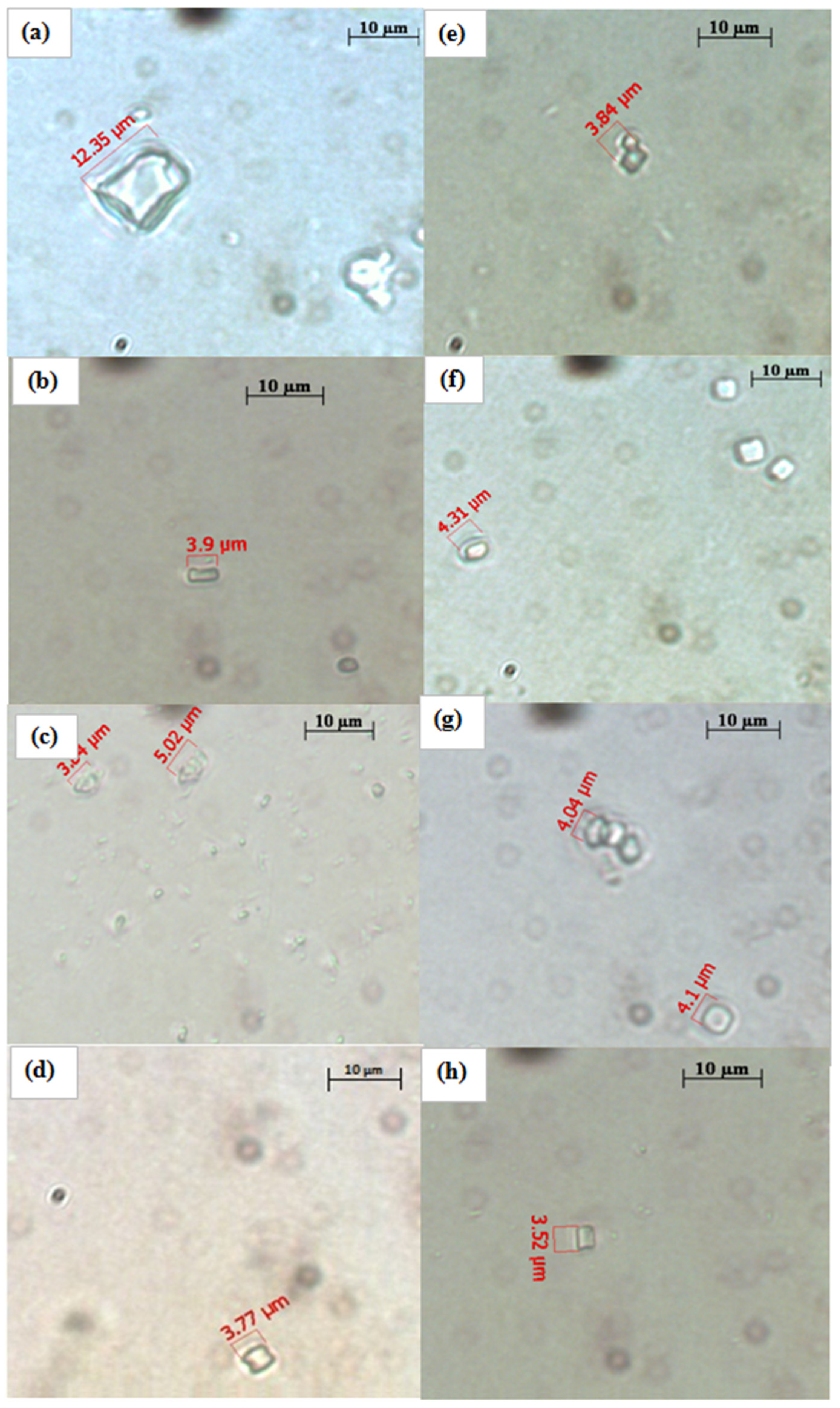 Marinedrugs 13 05384 g005