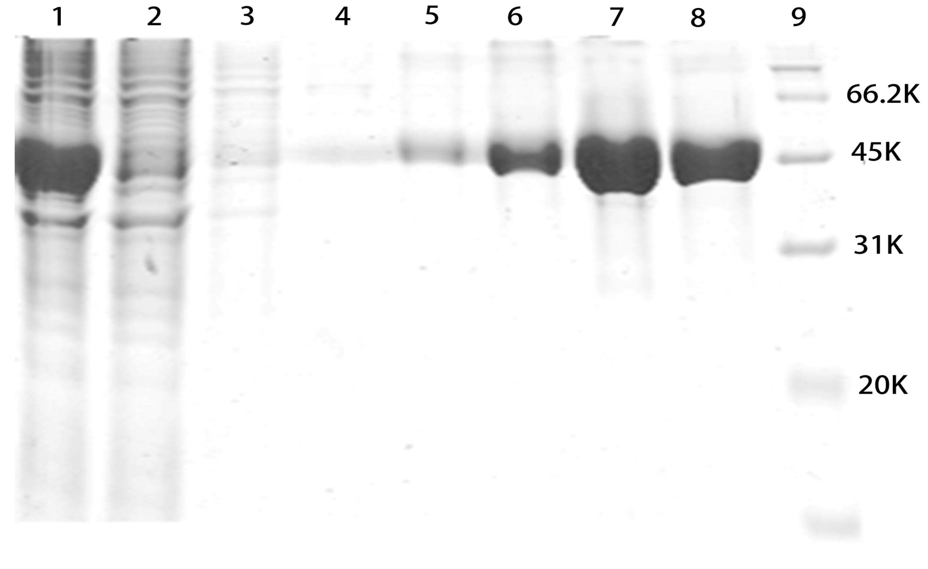 Marinedrugs 13 05492 g002 1024