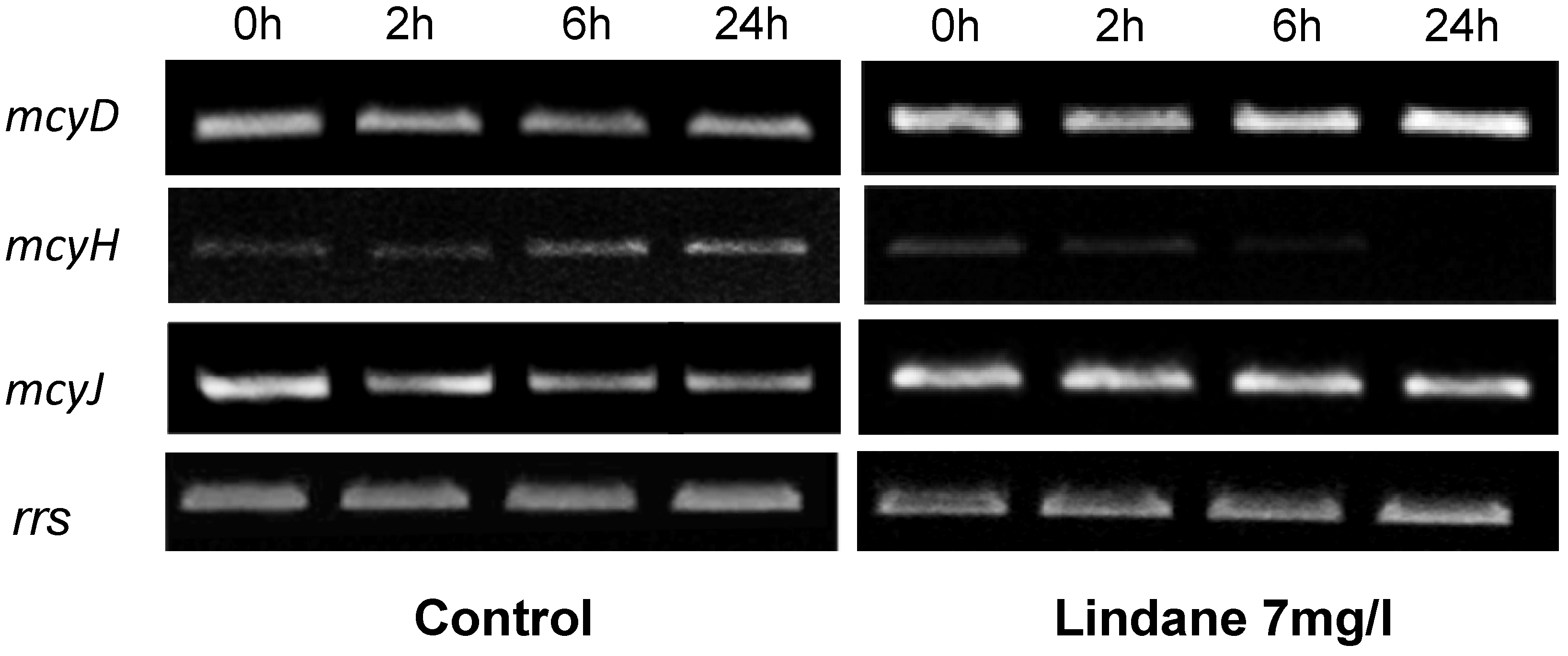 Marinedrugs 13 05666 g005 1024
