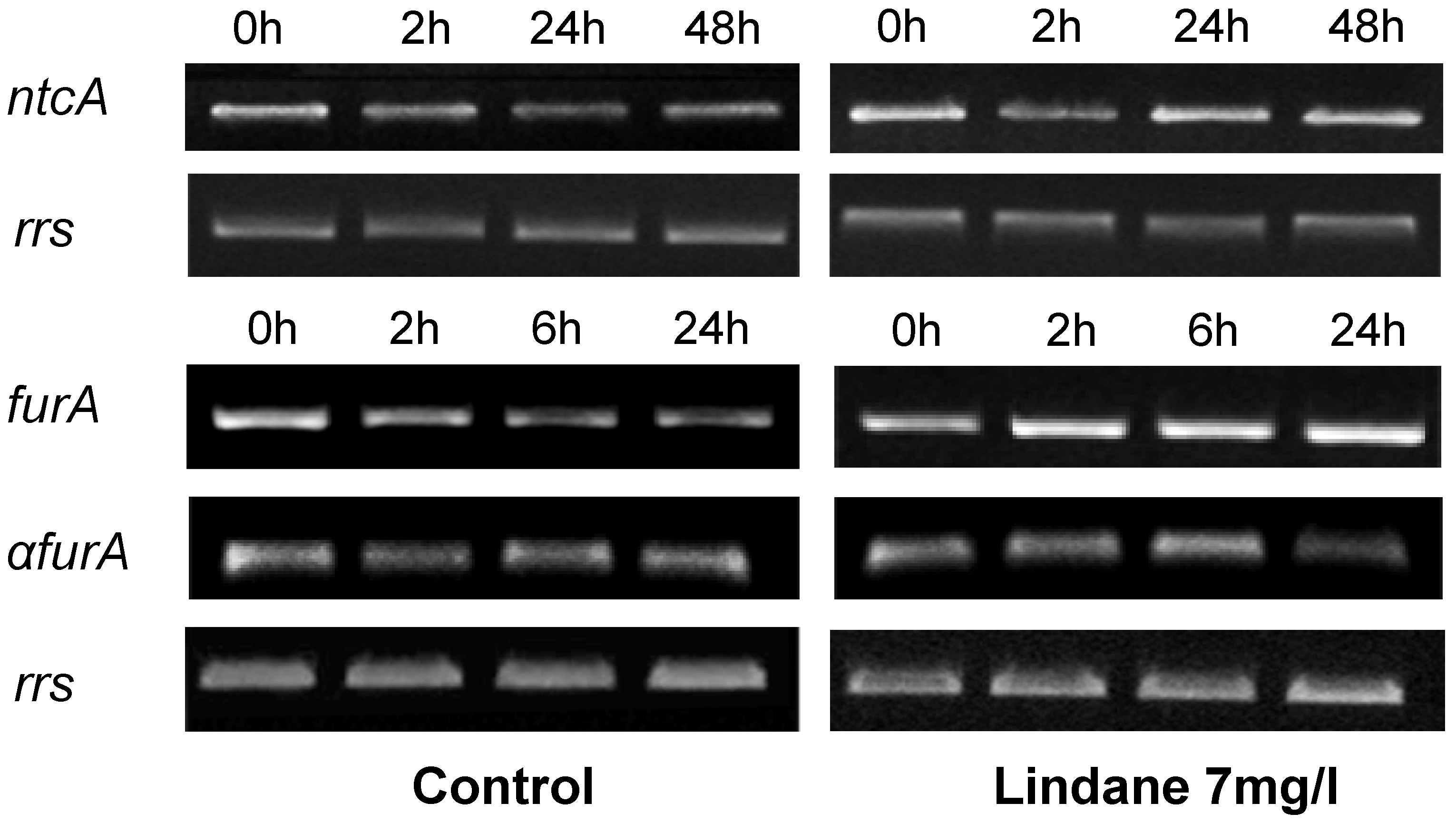 Marinedrugs 13 05666 g006 1024