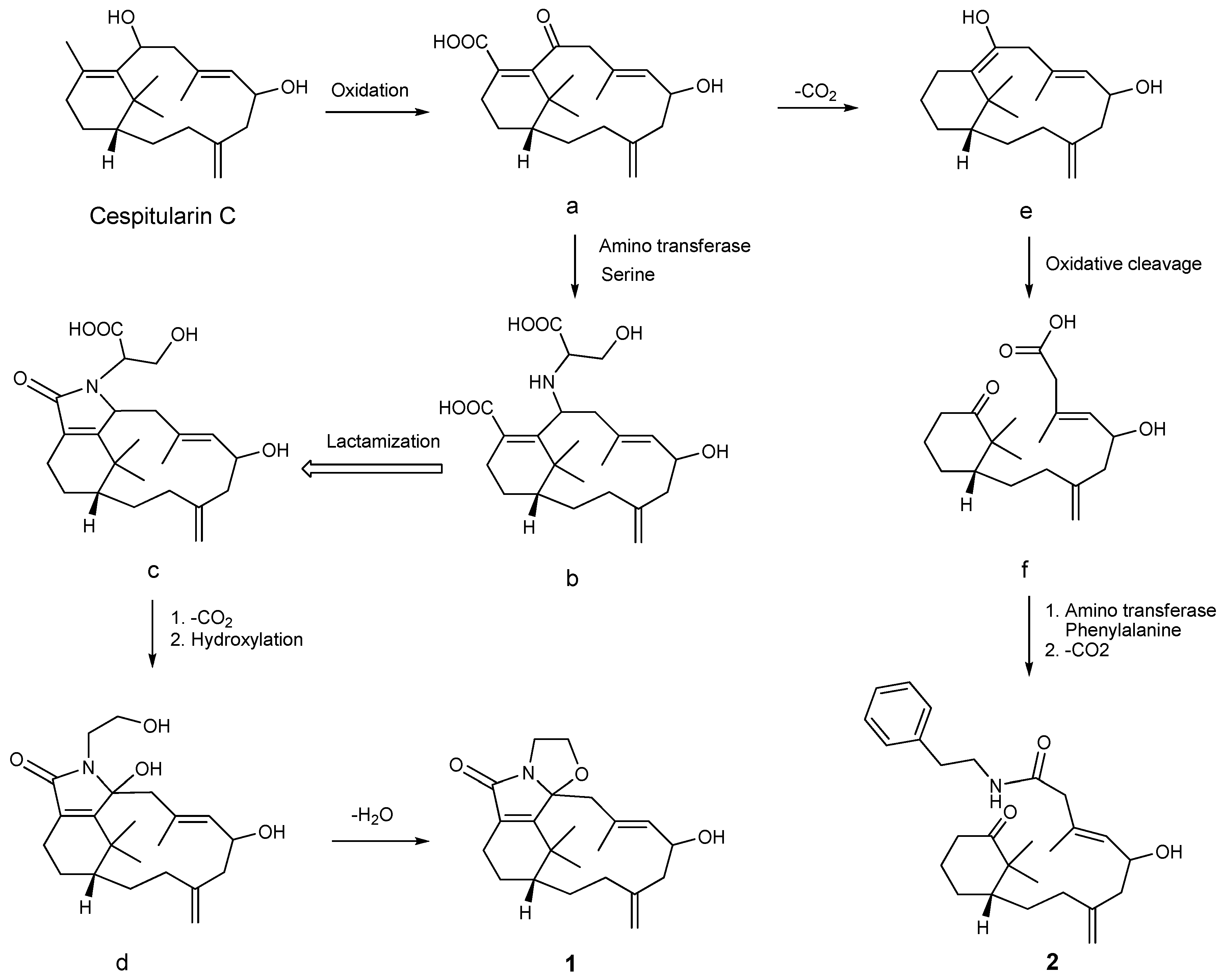 Marinedrugs 13 05796 g011 1024