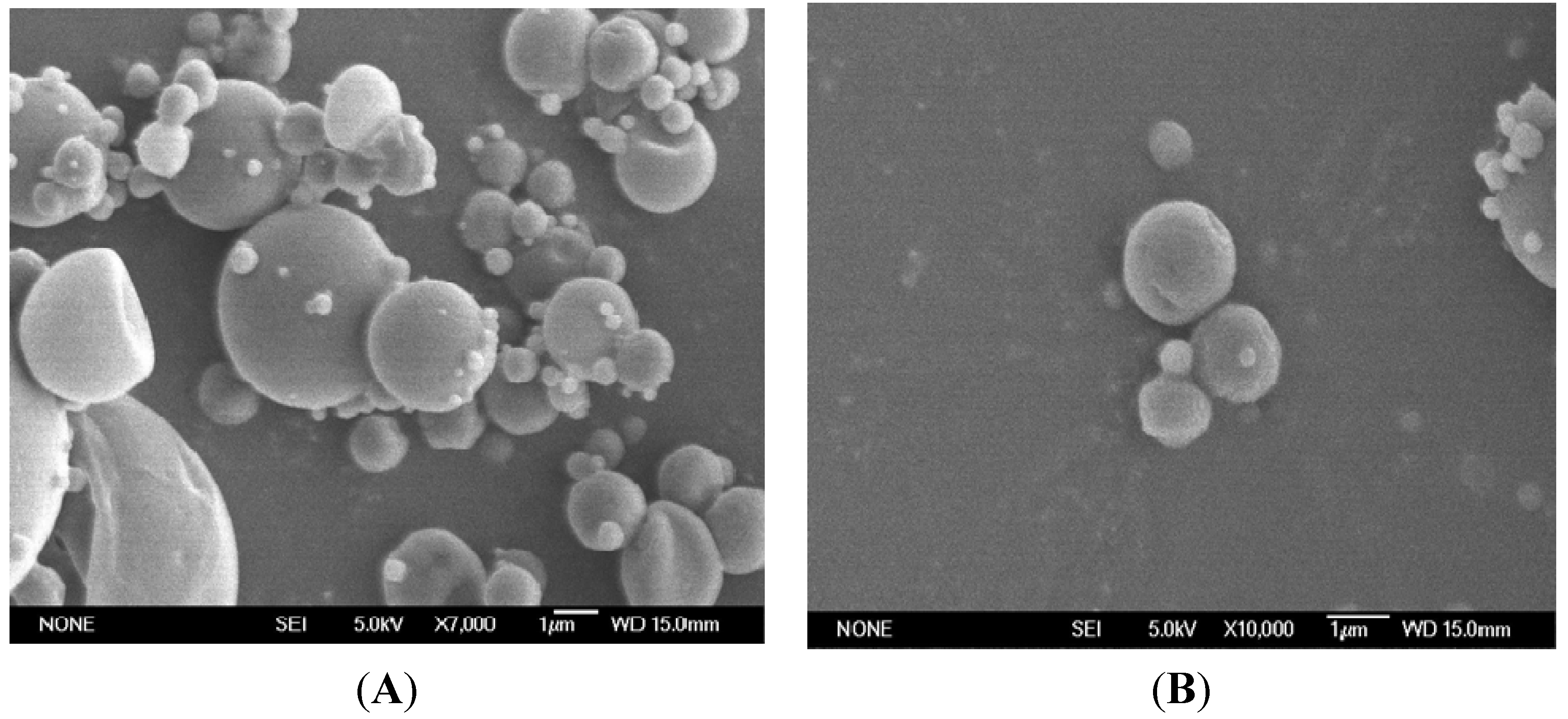 Marinedrugs 13 05901 g001 1024