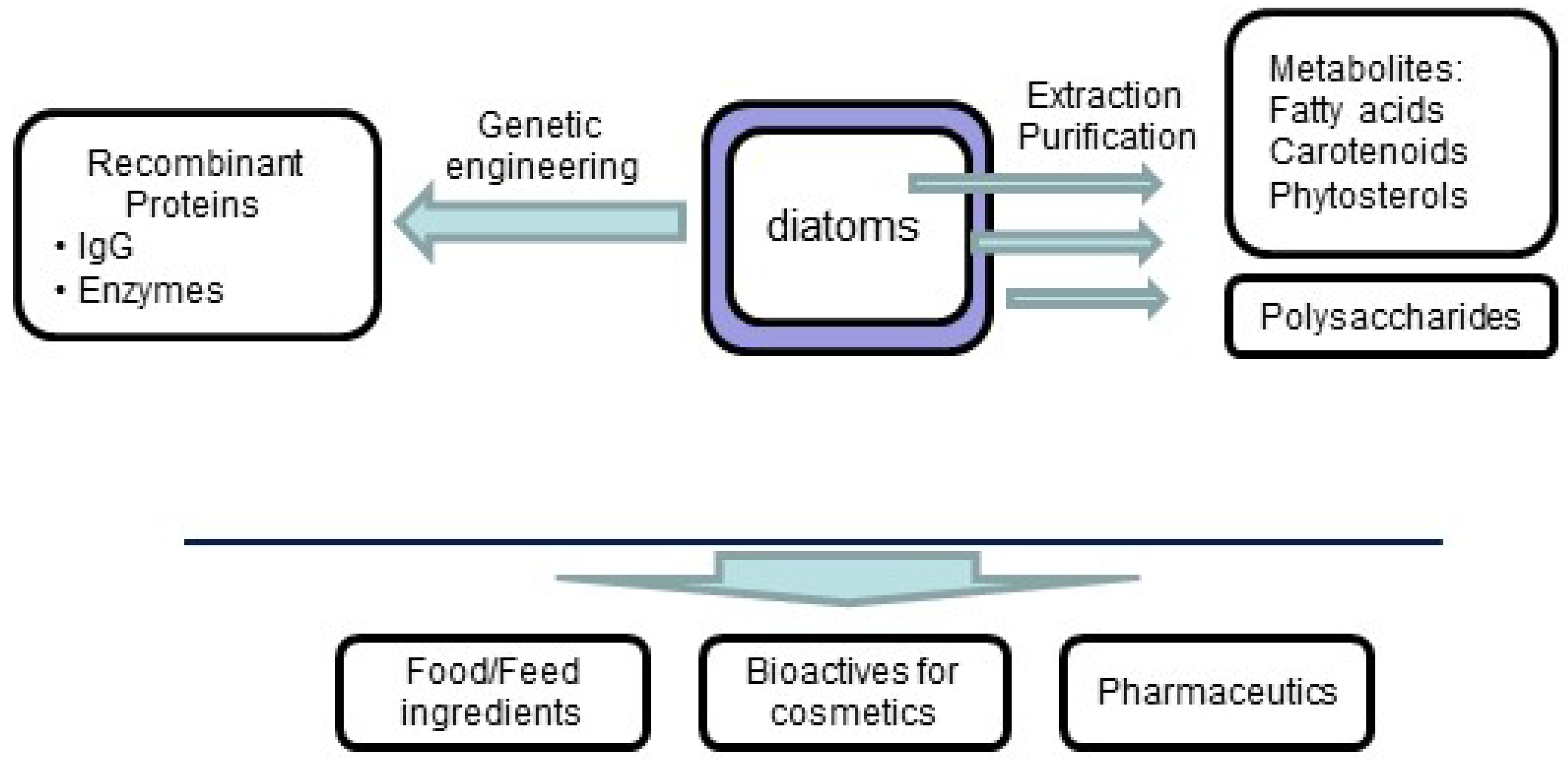 Marinedrugs 13 05993 g001