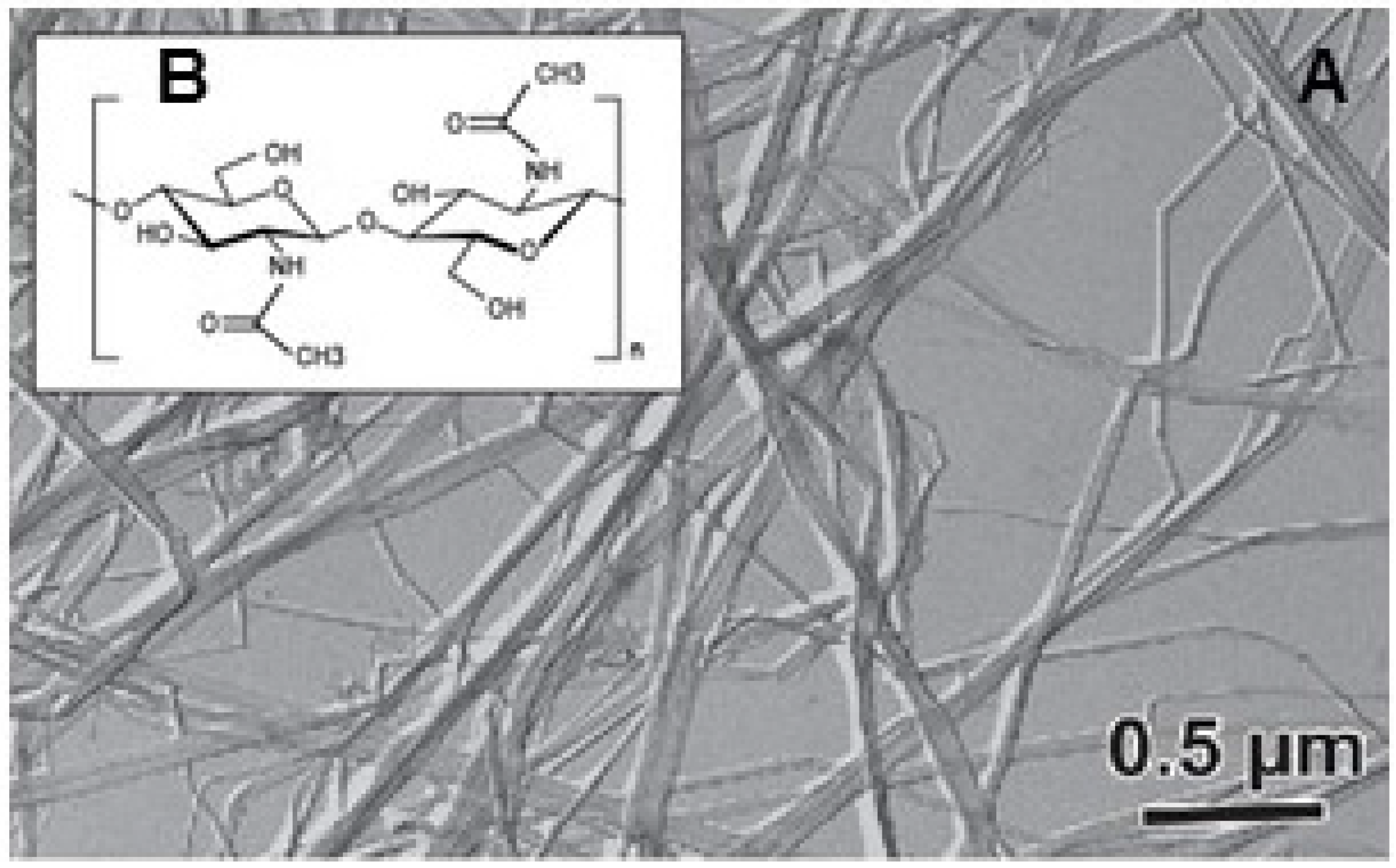 Marinedrugs 13 05993 g004