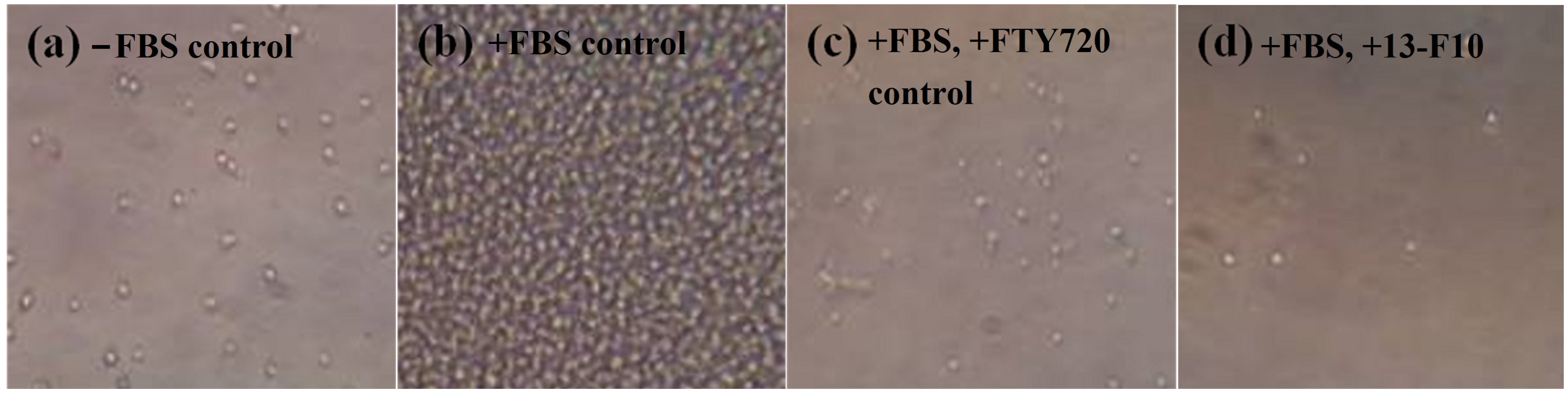 Marinedrugs 13 06274 g001