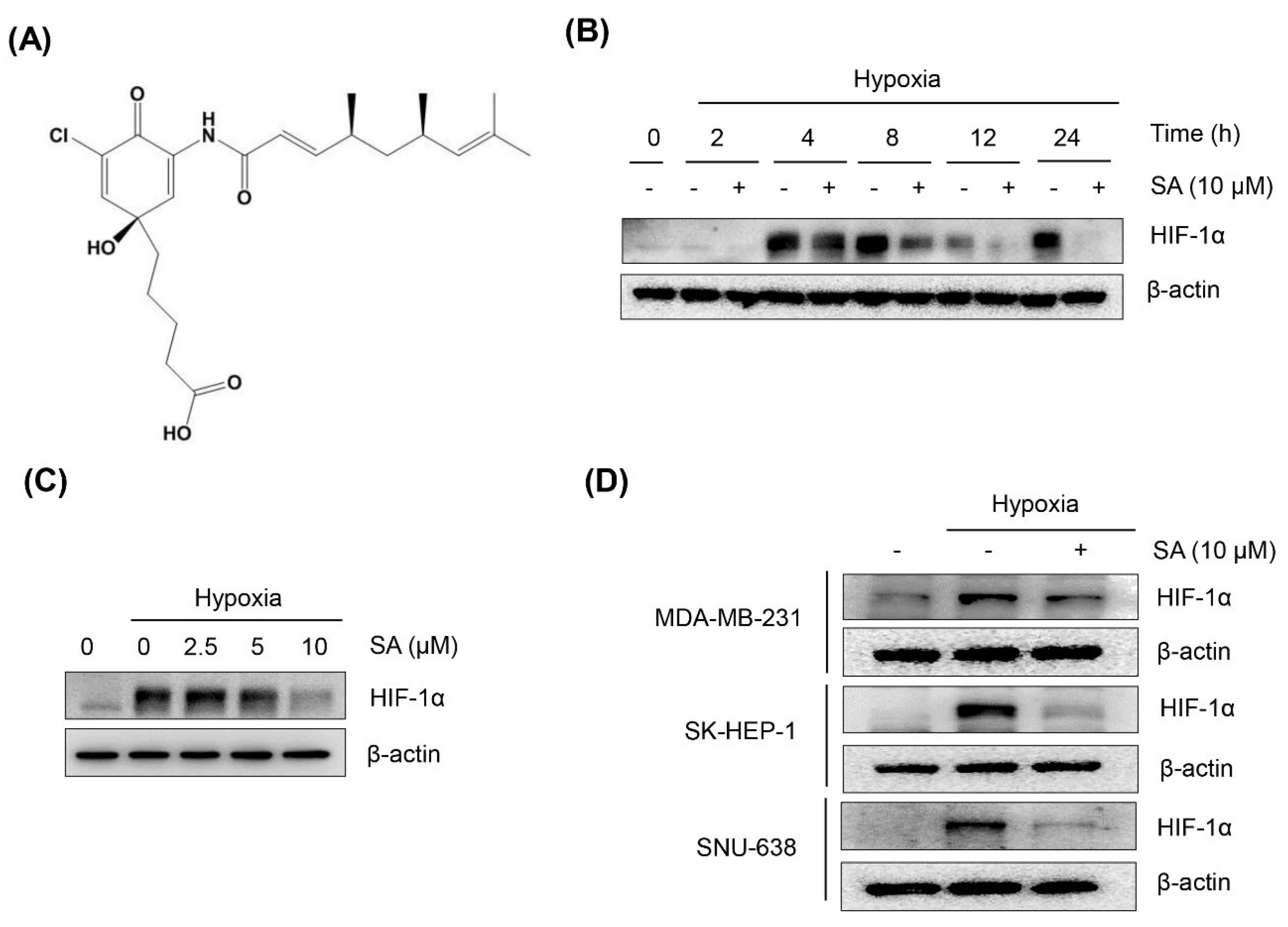 Marinedrugs 13 06962 g001