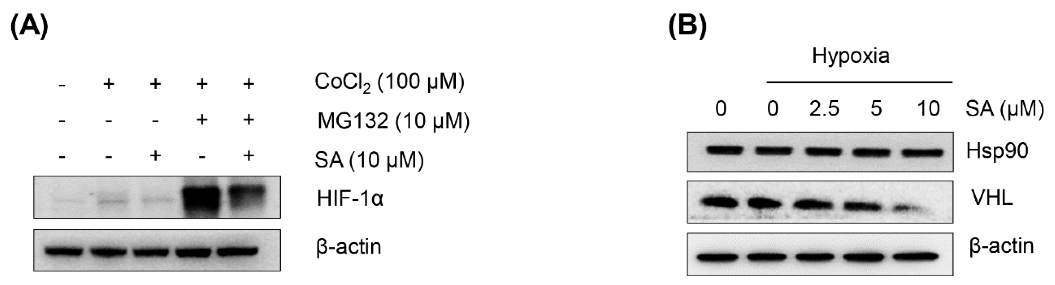 Marinedrugs 13 06962 g002