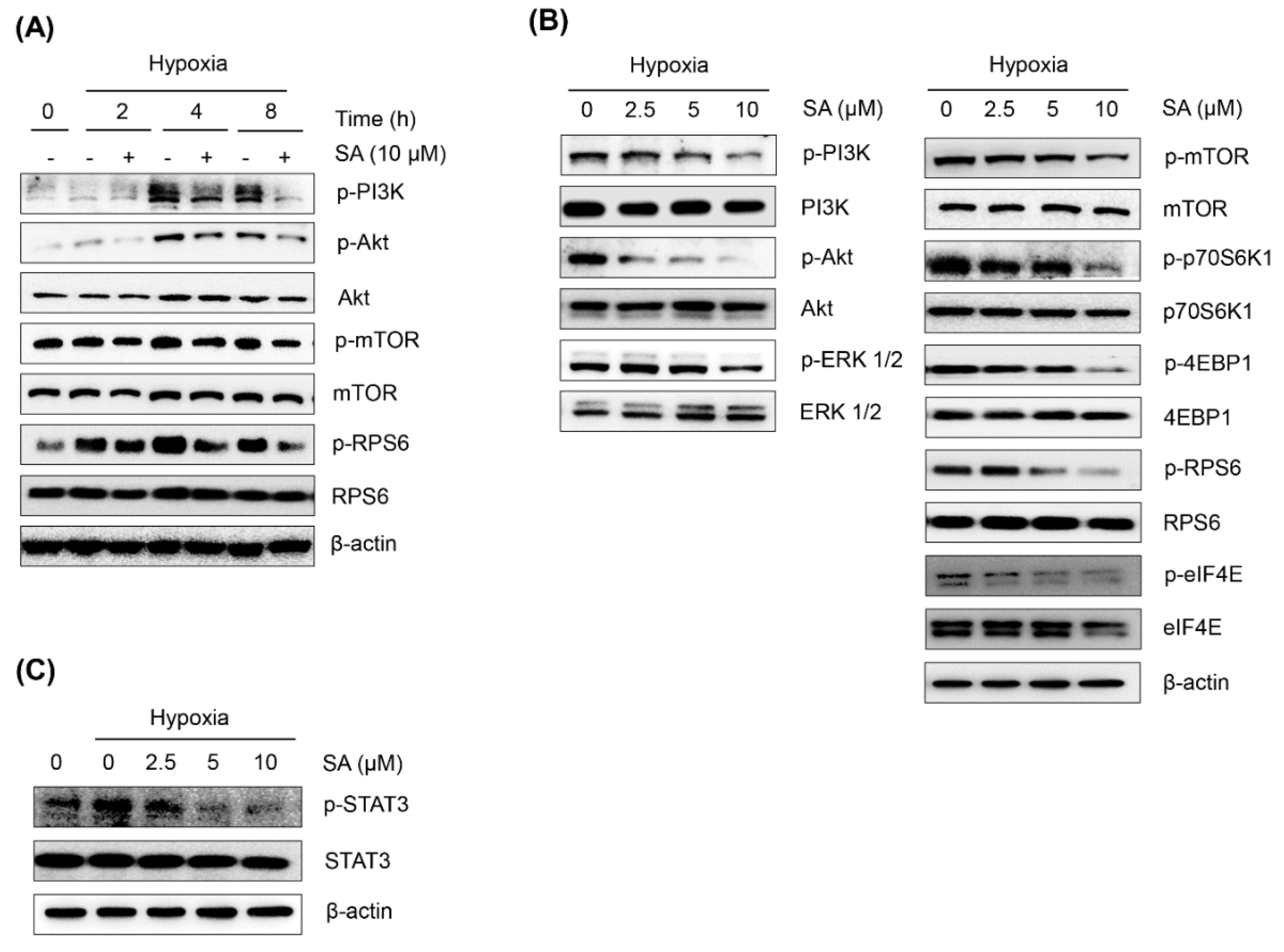 Marinedrugs 13 06962 g003