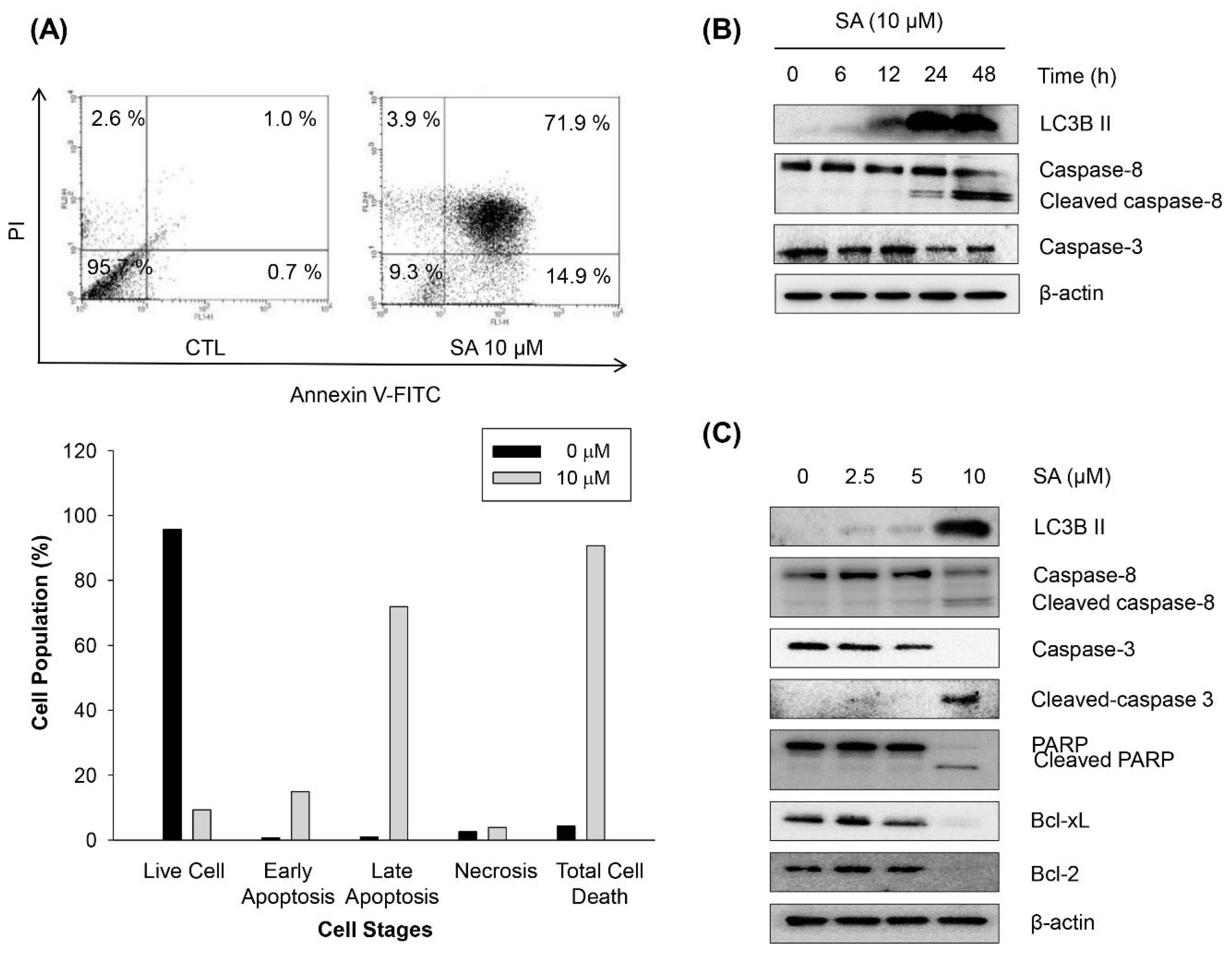 Marinedrugs 13 06962 g005