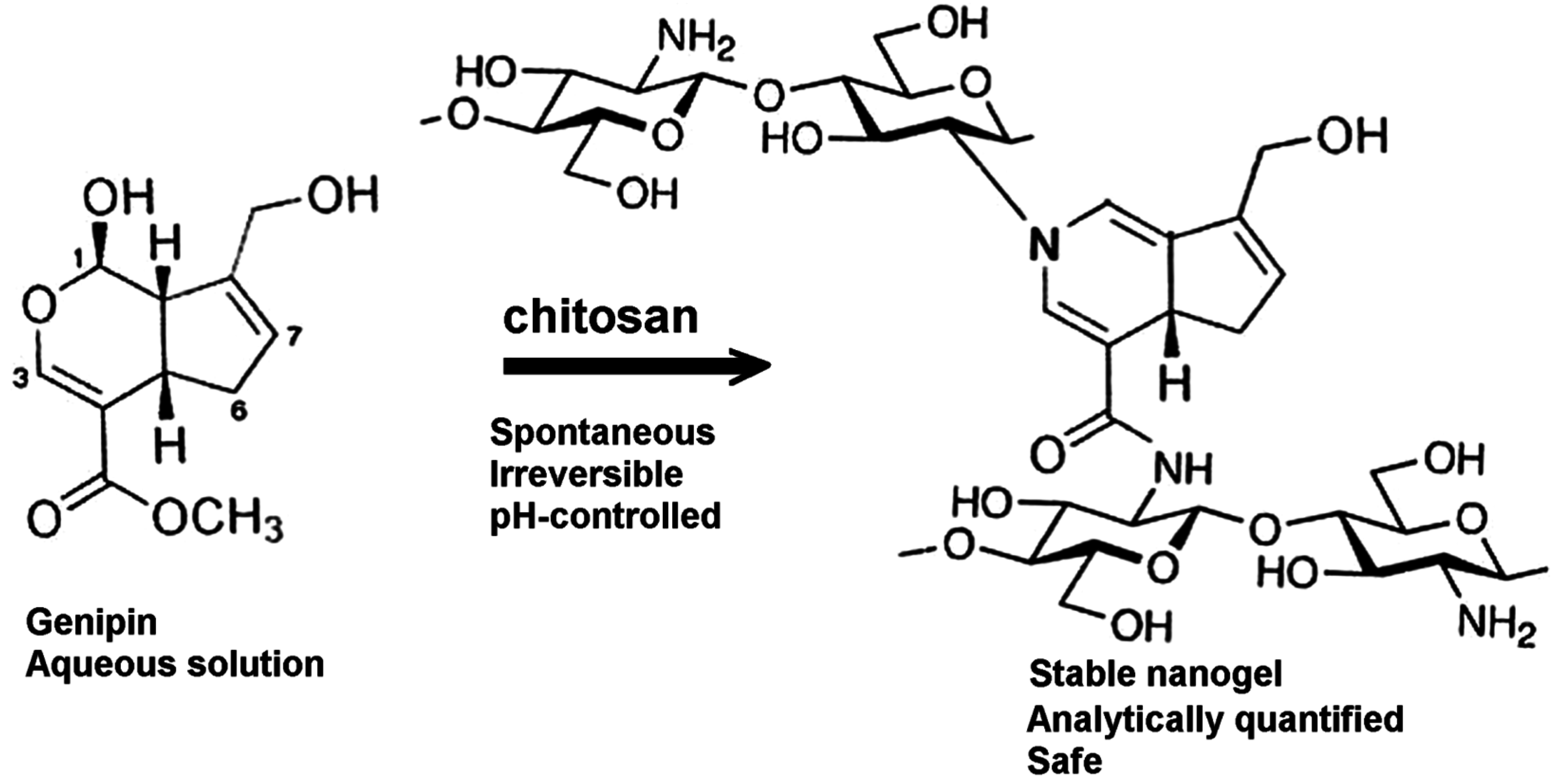 Genipin-Crosslinked Chitosan Gels and Scaffolds for Tissue