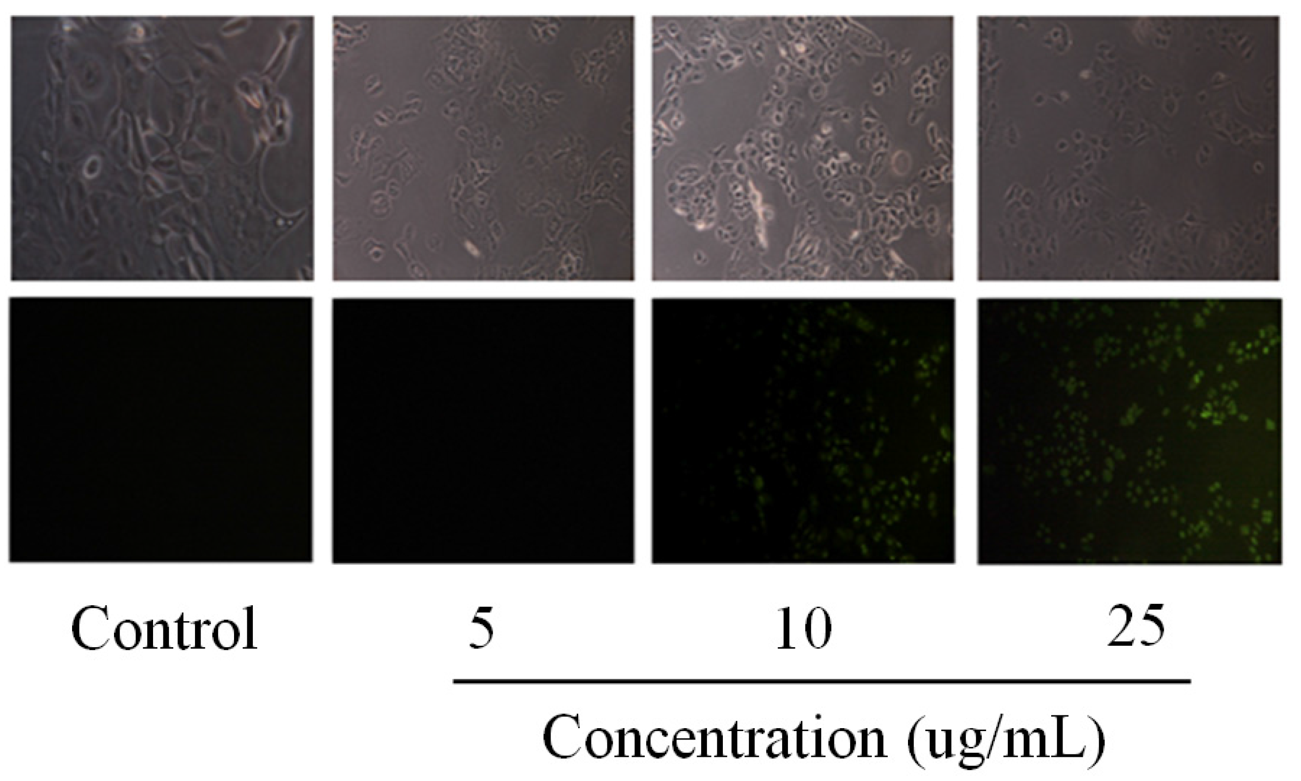 Marinedrugs 14 00002 g002b 1024