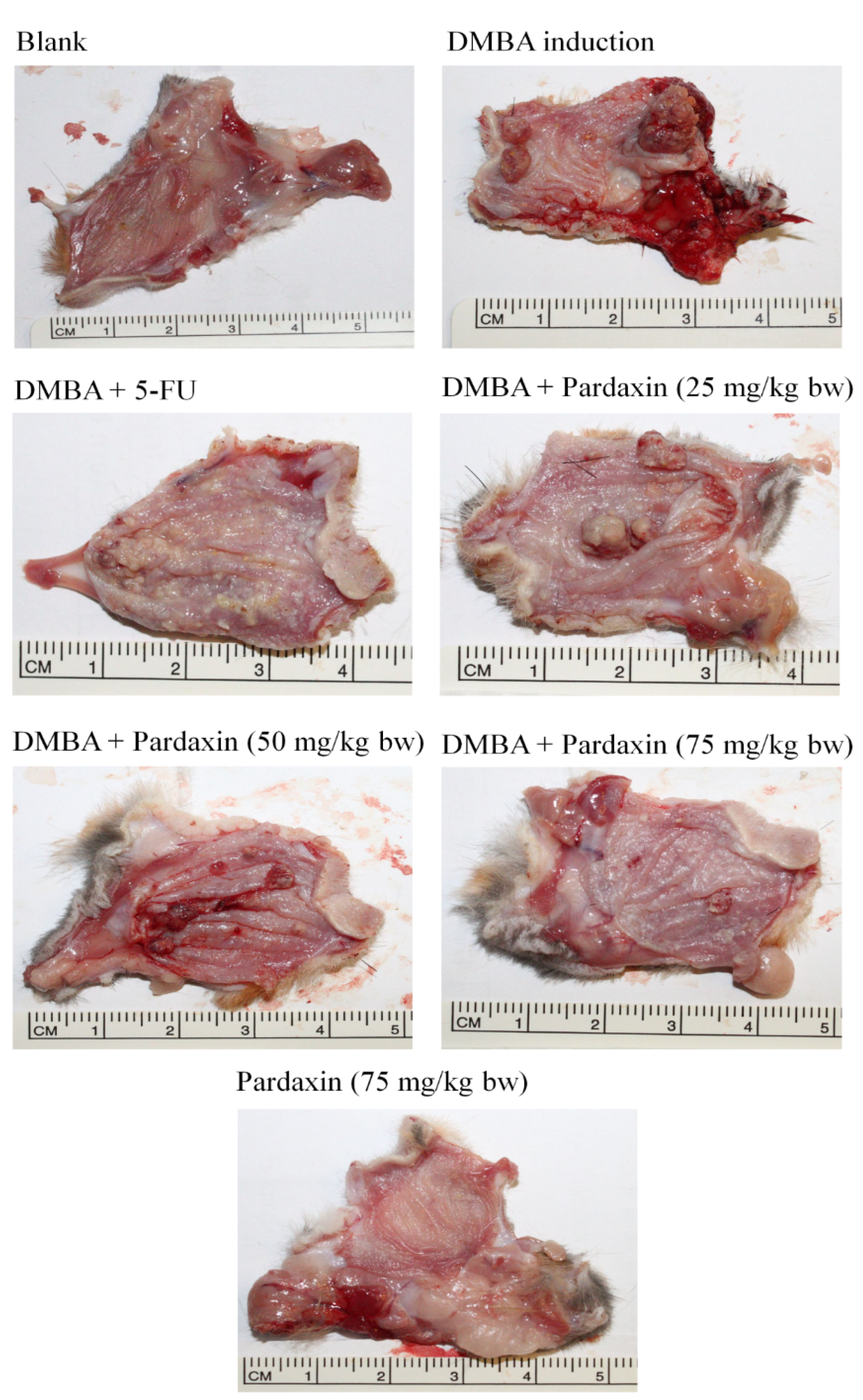 Marinedrugs 14 00002 g005 1024