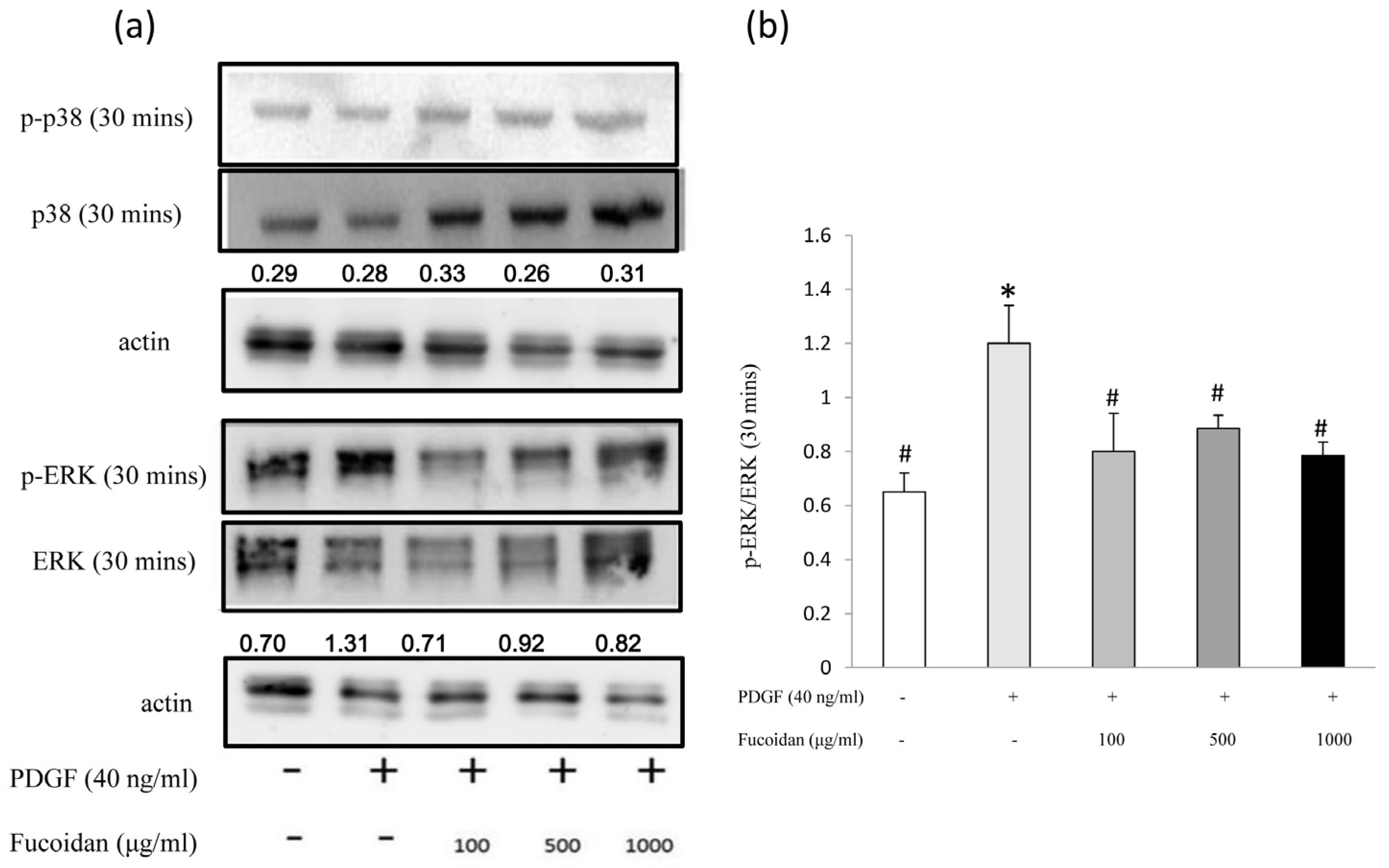 Marinedrugs 14 00015 g004