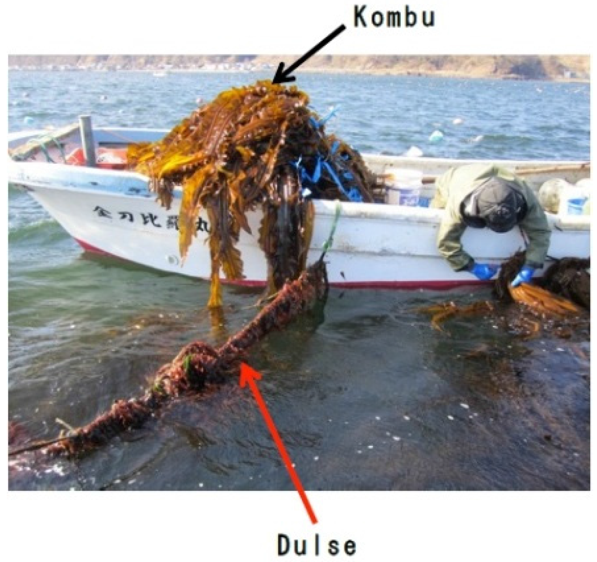 Marinedrugs 14 00032 g001 1024