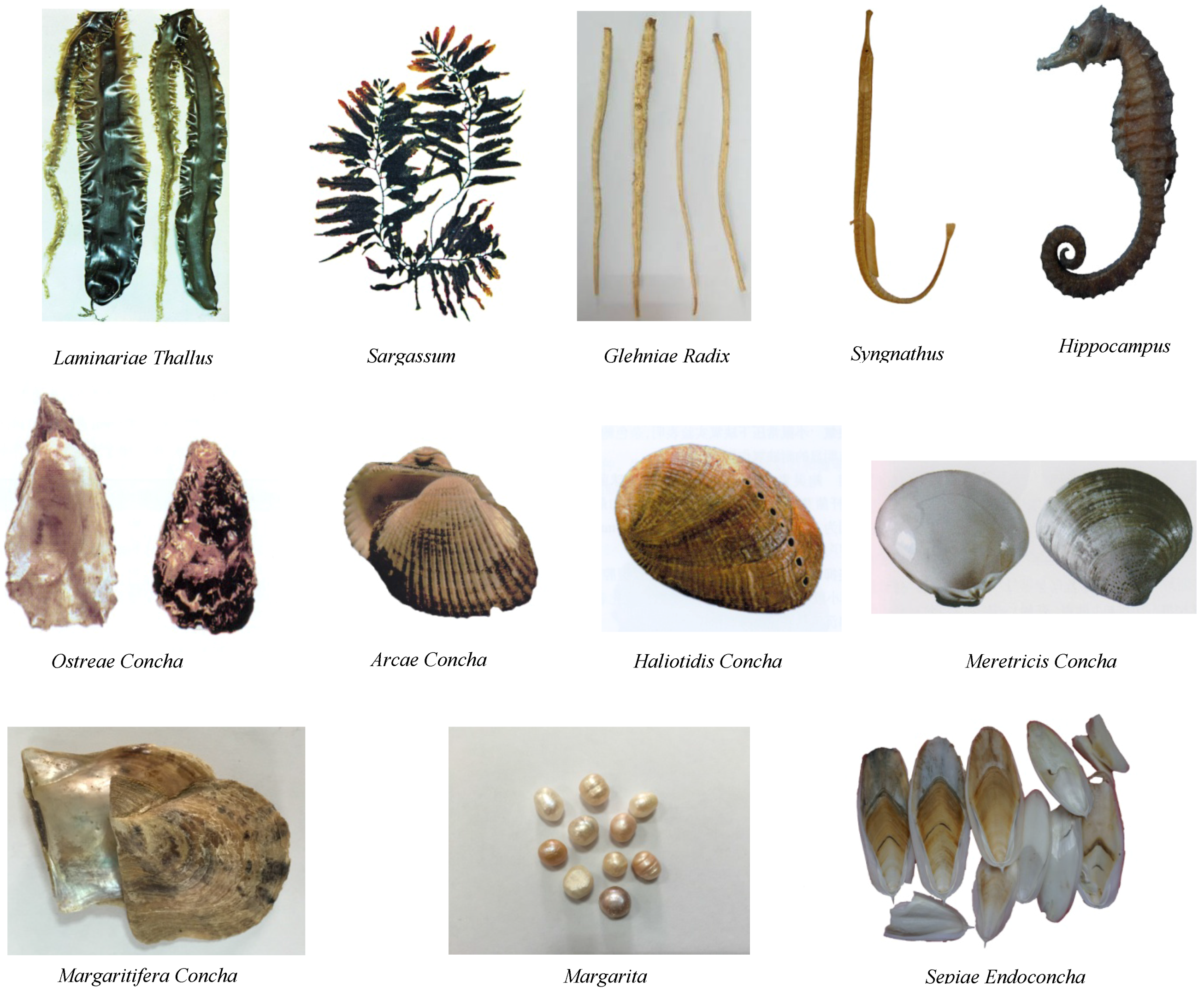 Marinedrugs 14 00046 g002 1024